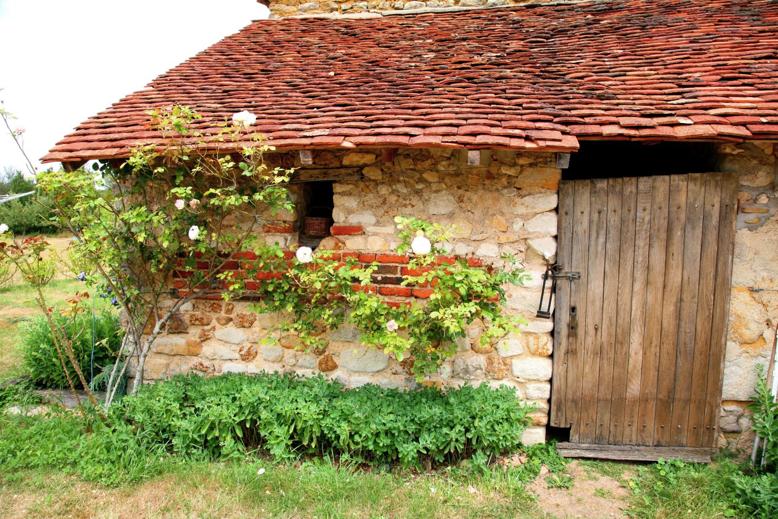 Canon EOS 5D sample photo. Stable photography