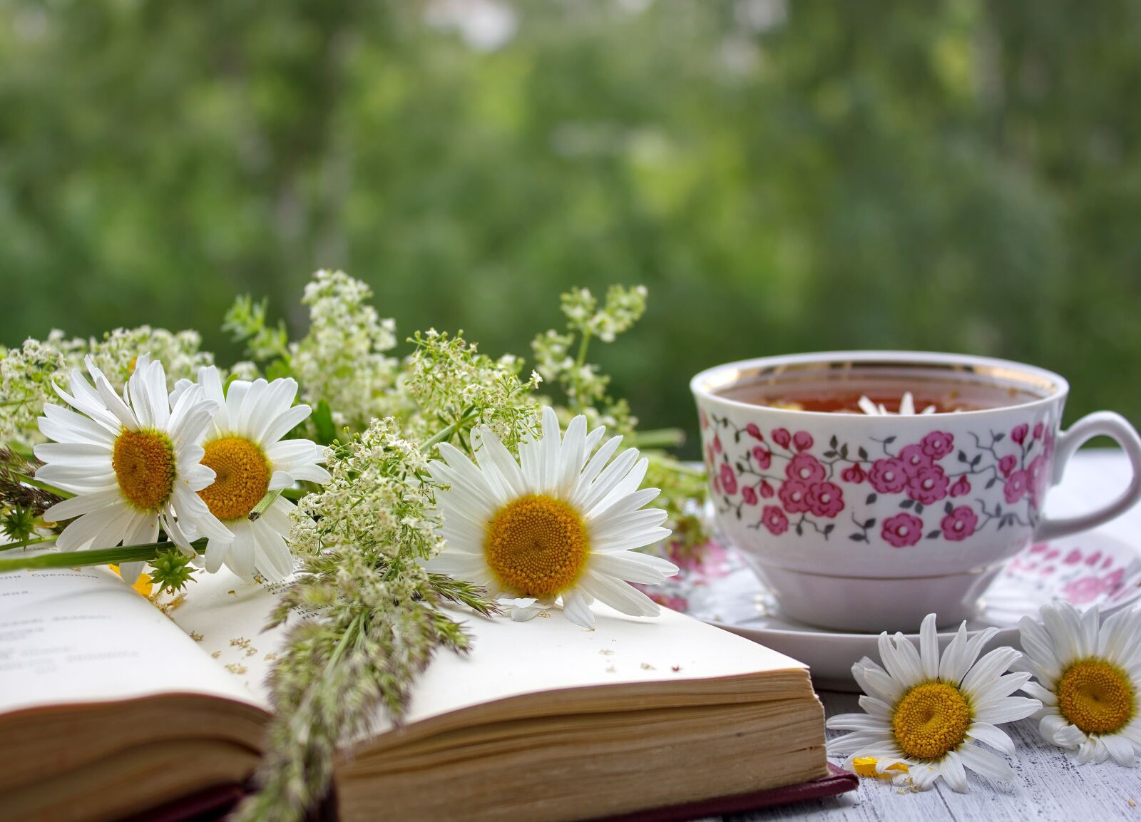 Canon EOS 550D (EOS Rebel T2i / EOS Kiss X4) sample photo. Summer, still life, book photography