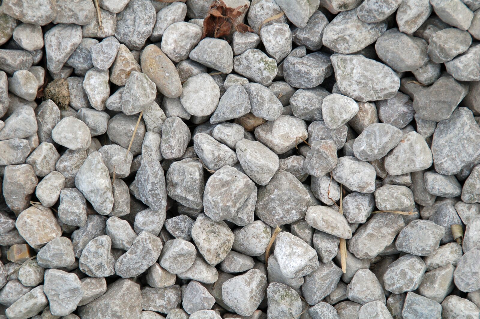 Nikon D50 sample photo. Structure, rock, stones photography