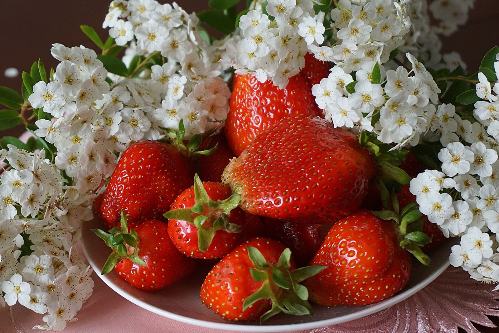 Sony a6000 sample photo. Strawberry ripe, red, white photography