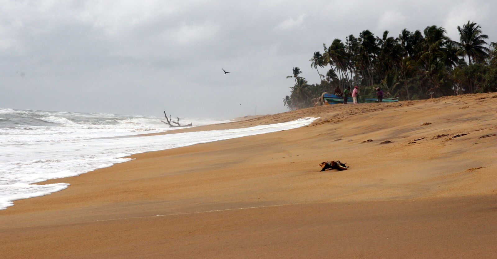 Canon EOS 20D sample photo. Photo, of, seashore photography