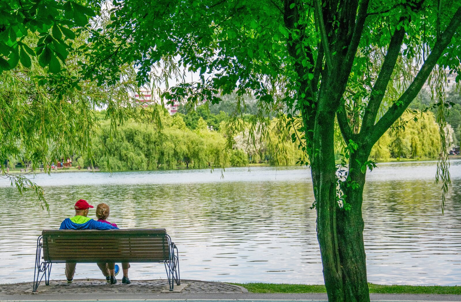 Nikon D5300 sample photo. Water, lake, nature photography
