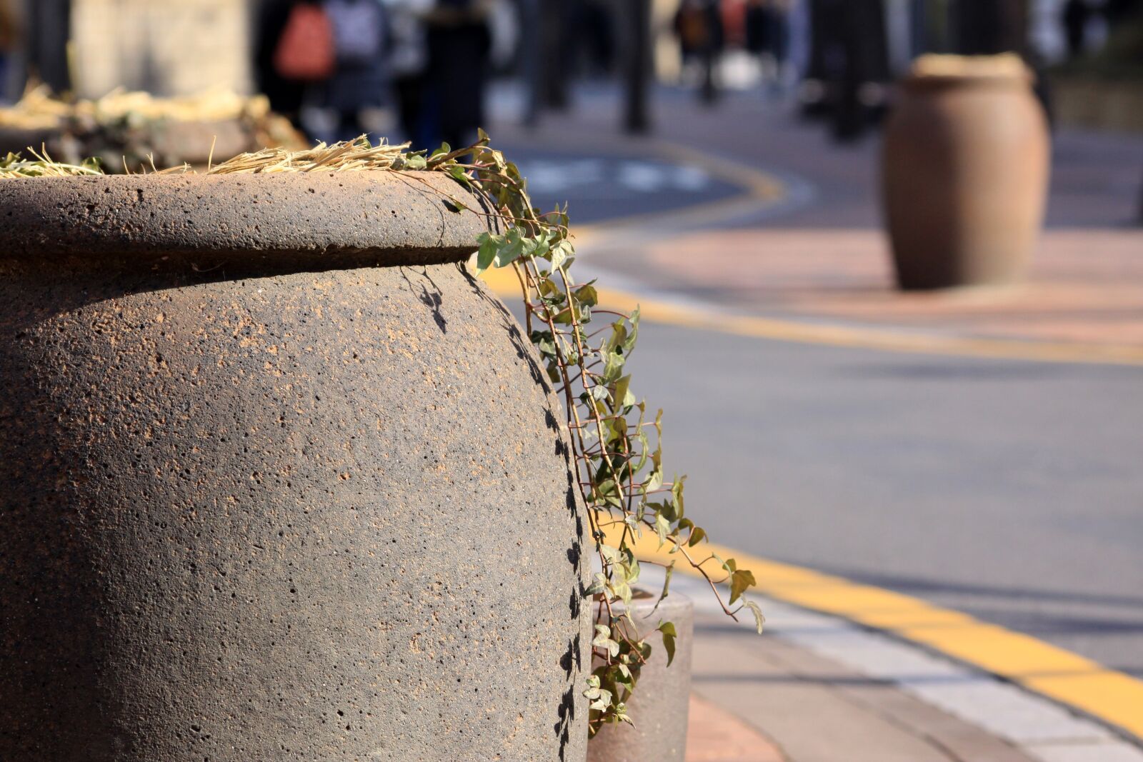 Canon EOS 50D sample photo. Street, ornament, chapter reading photography