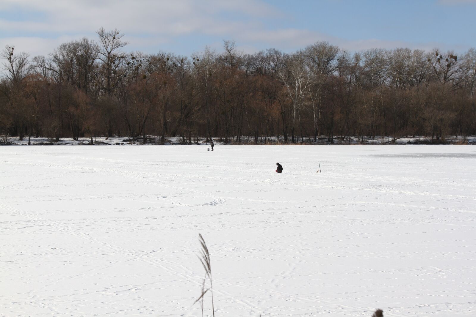 Canon EOS 7D sample photo. Snow, ice, field photography