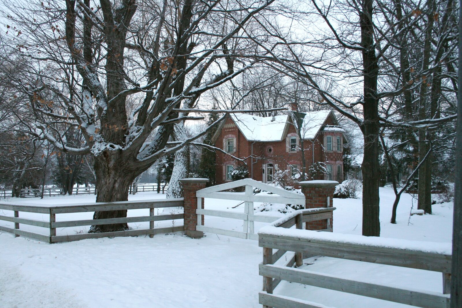 Canon EOS 20D sample photo. House, home, winter photography