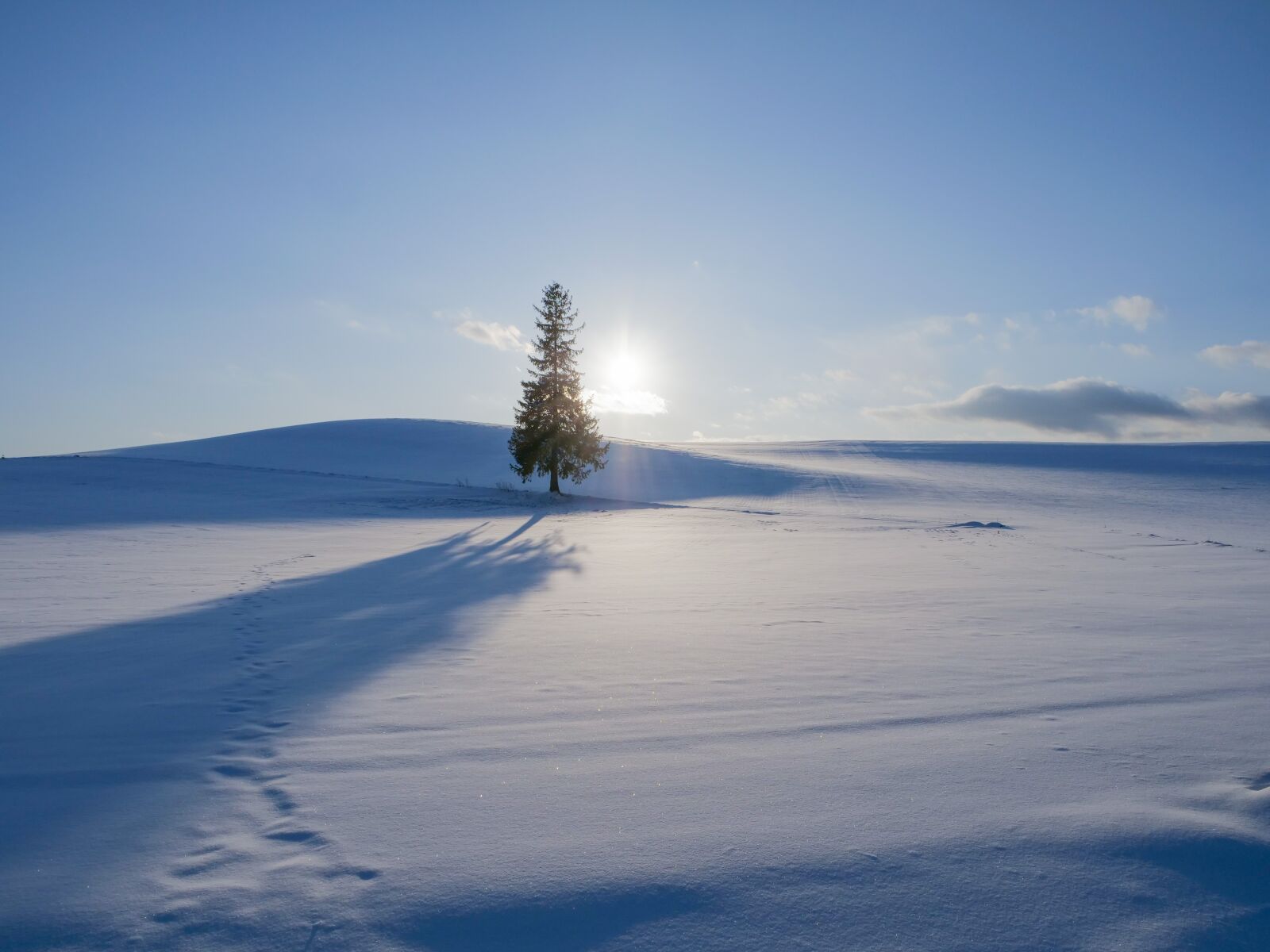 LEICA DG 12-60/F2.8-4.0 sample photo. Winter, snow, hill photography