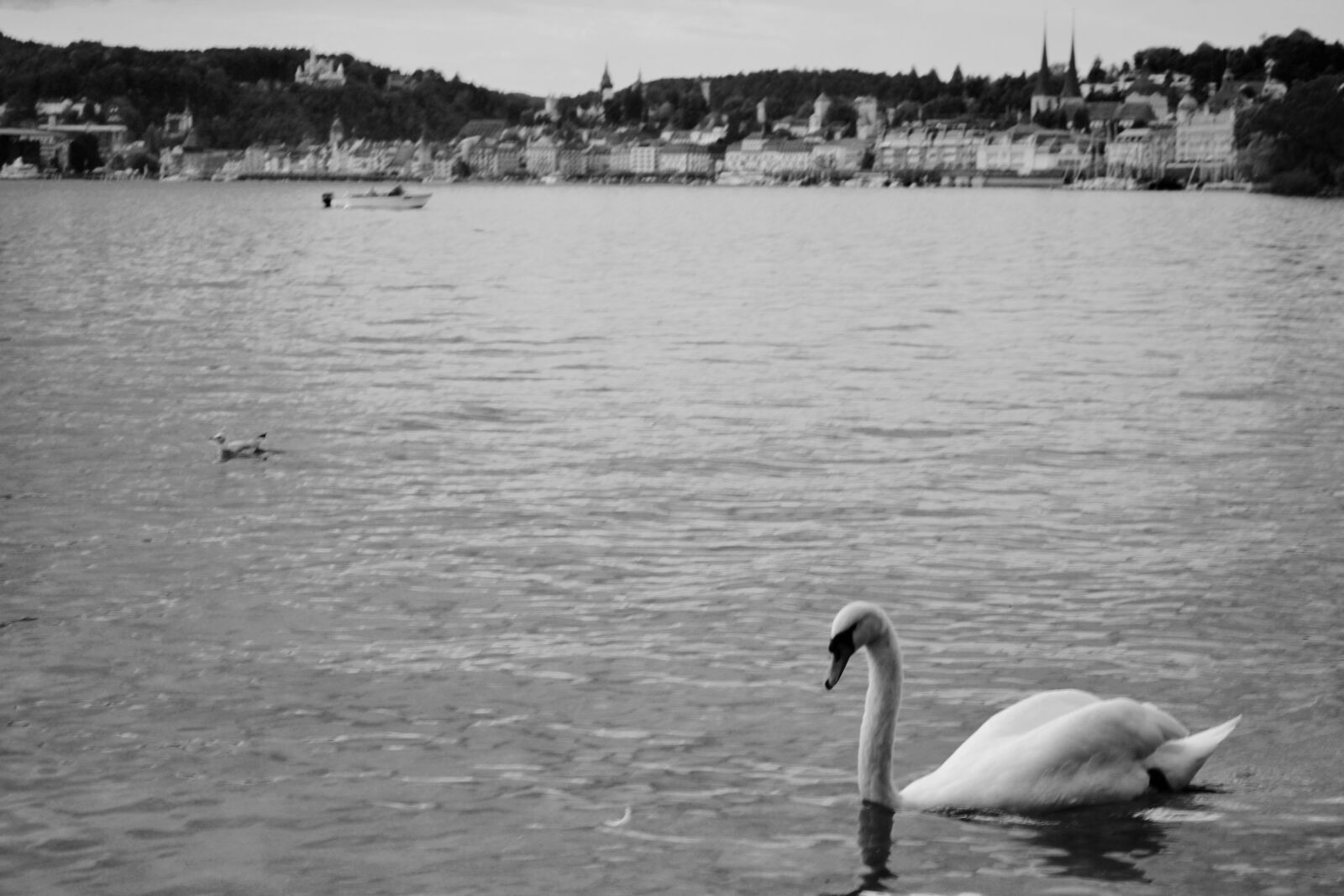 Nikon D3100 sample photo. Black, and, white, lake photography