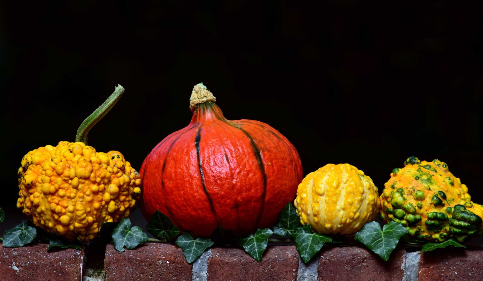 Nikon D3300 sample photo. Leaf, pumpkin, vegetables, food photography