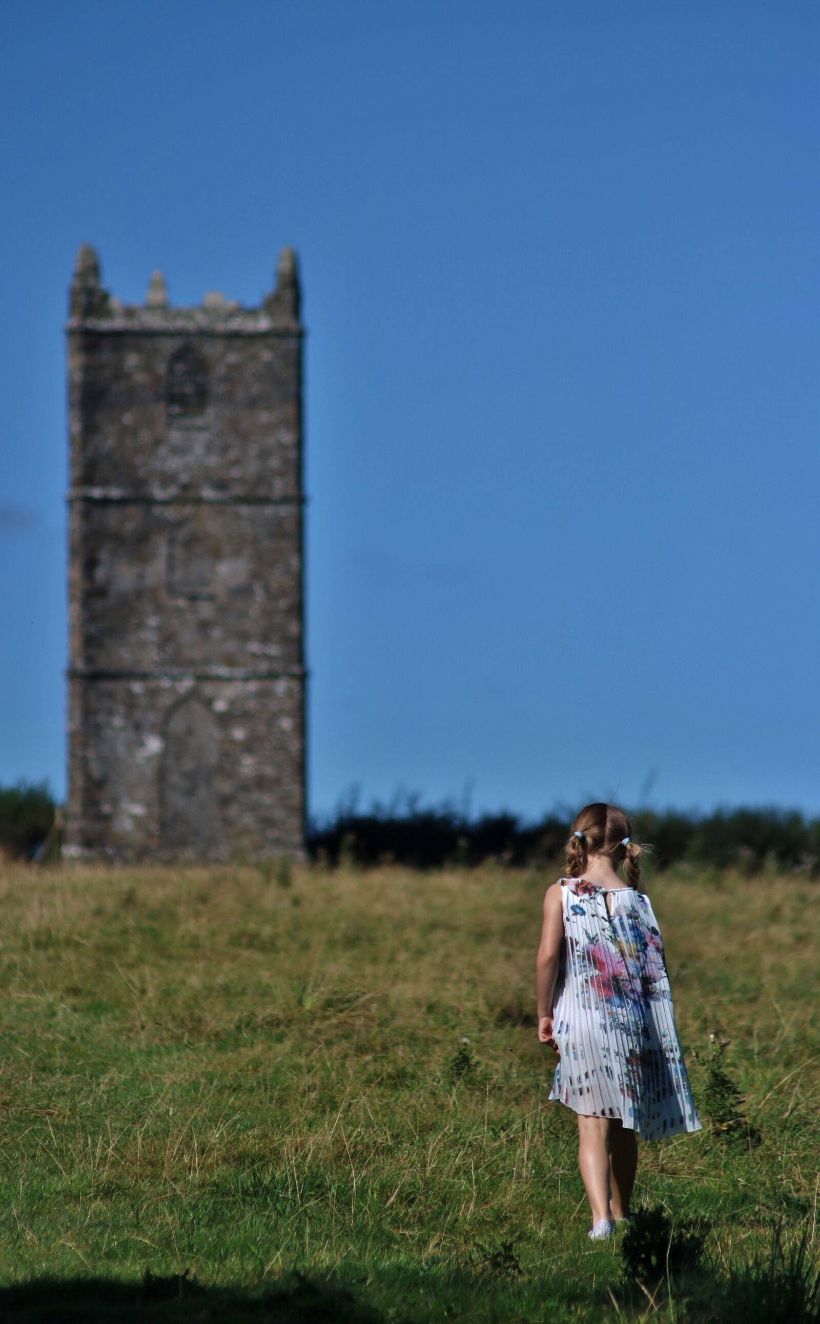 Canon EOS 750D (EOS Rebel T6i / EOS Kiss X8i) sample photo. Walk, summer, field photography