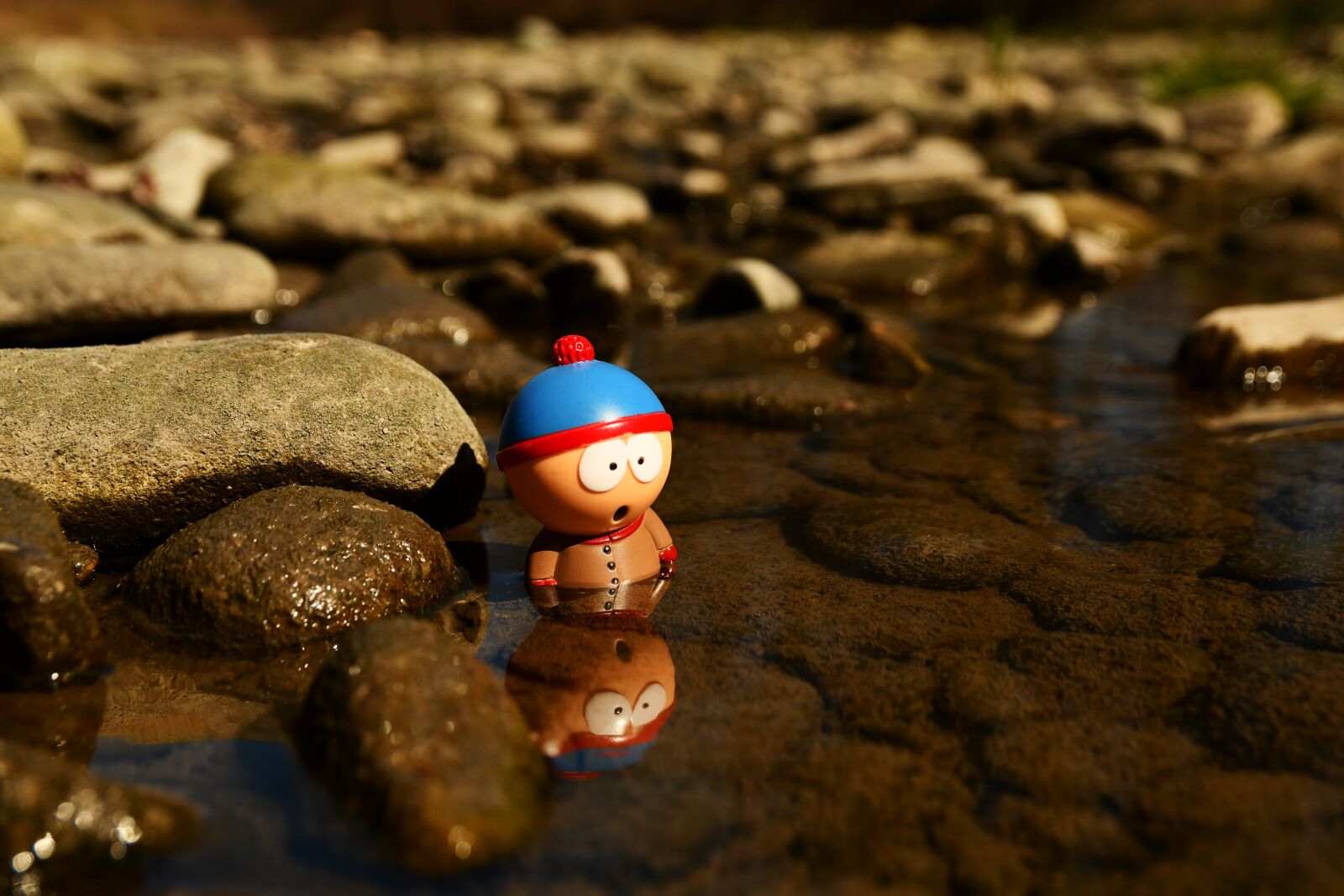 Nikon D7500 sample photo. Southpark, toys, stones photography