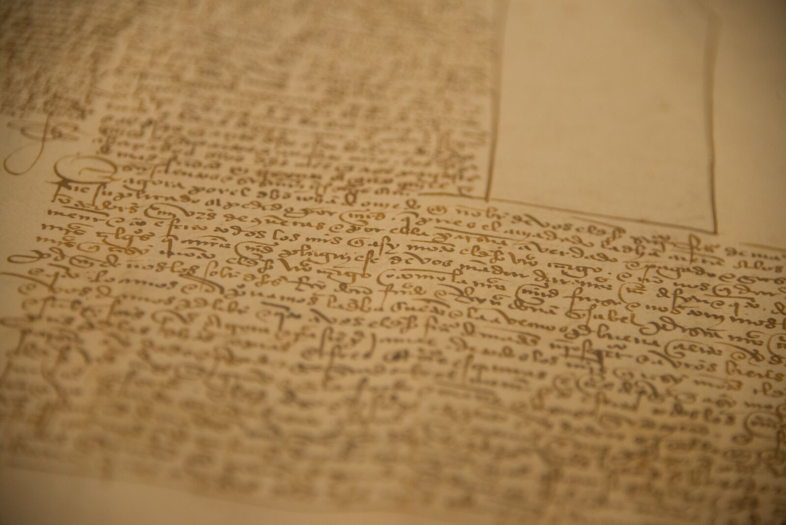 Nikon D800 sample photo. Manuscript, medieval, antique photography