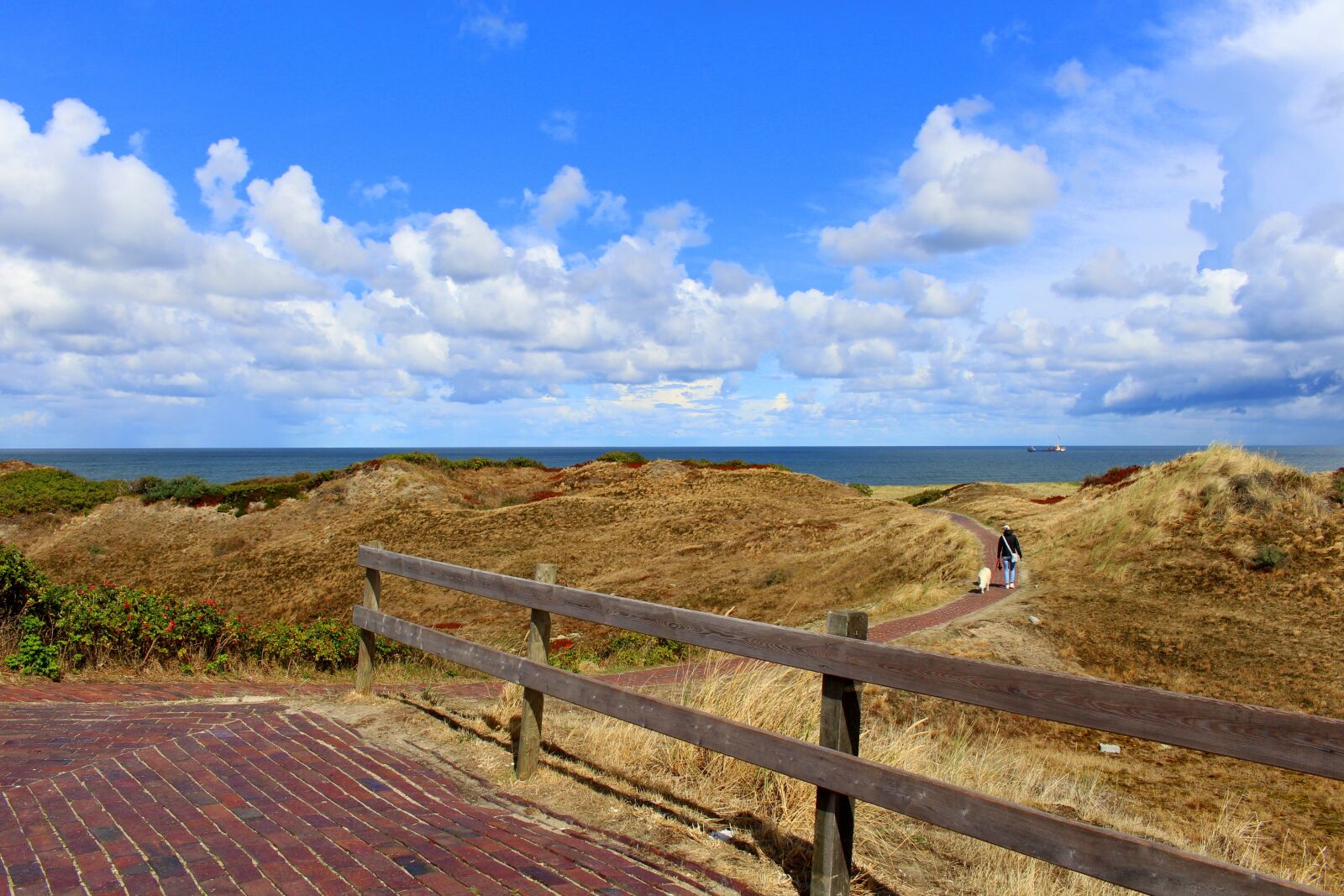 Canon EOS 700D (EOS Rebel T5i / EOS Kiss X7i) sample photo. Langeoog, island, east frisia photography