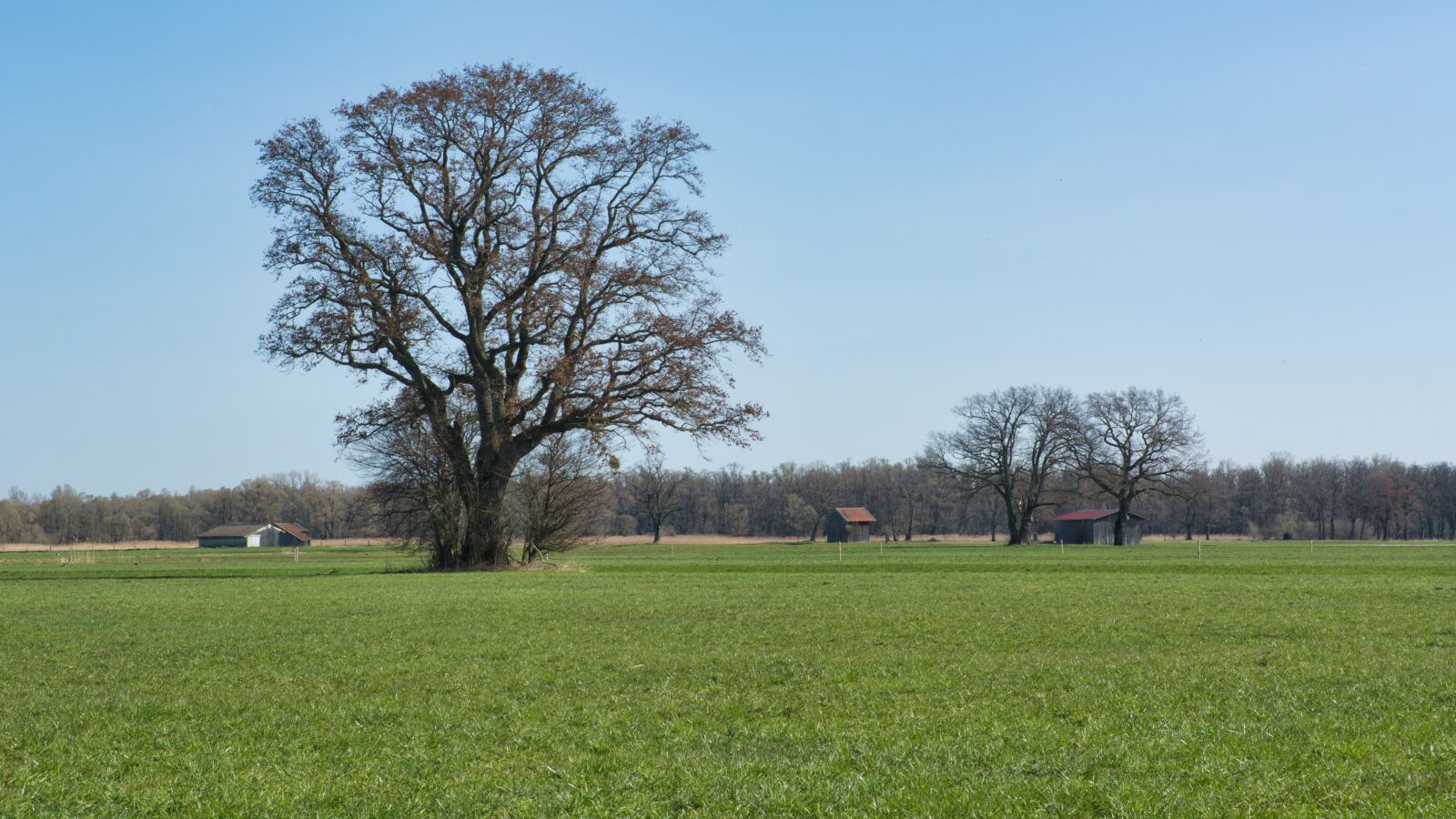 Nikon D7100 sample photo. Landscape, chiemgau, bavaria photography