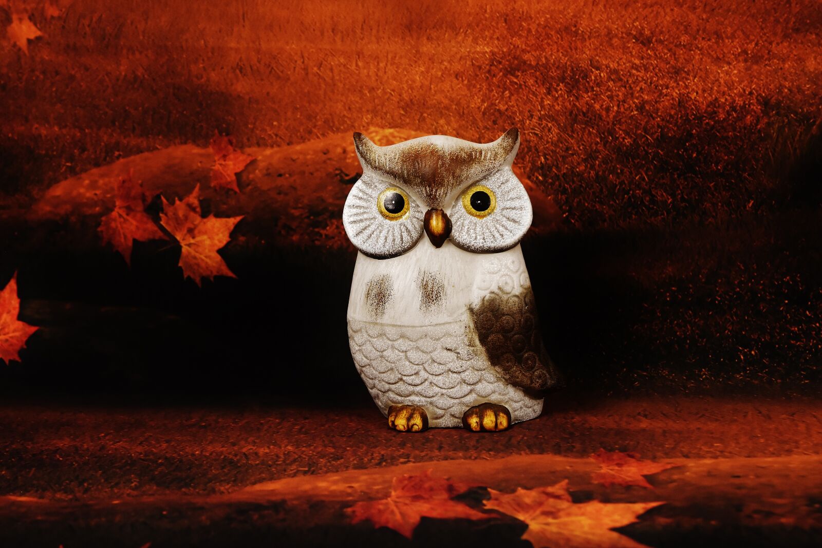 Nikon D7200 sample photo. Owl, forest, figure photography