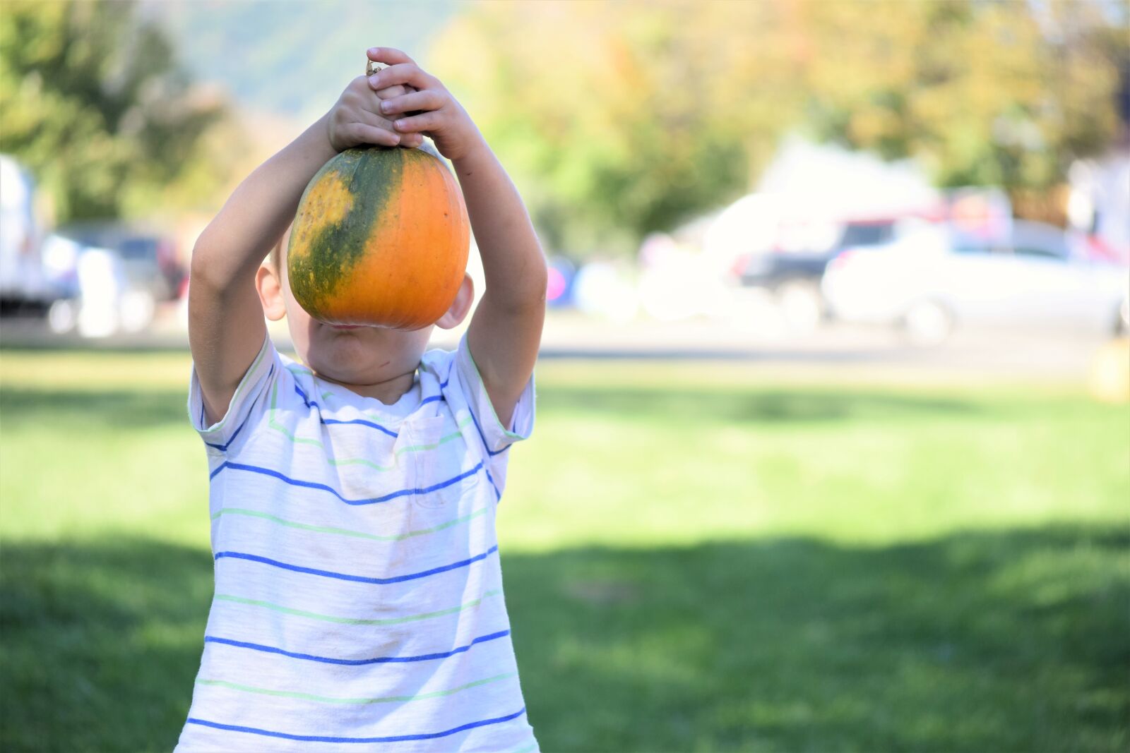 Nikon D3300 sample photo. Boy, pumpkin, harvest photography