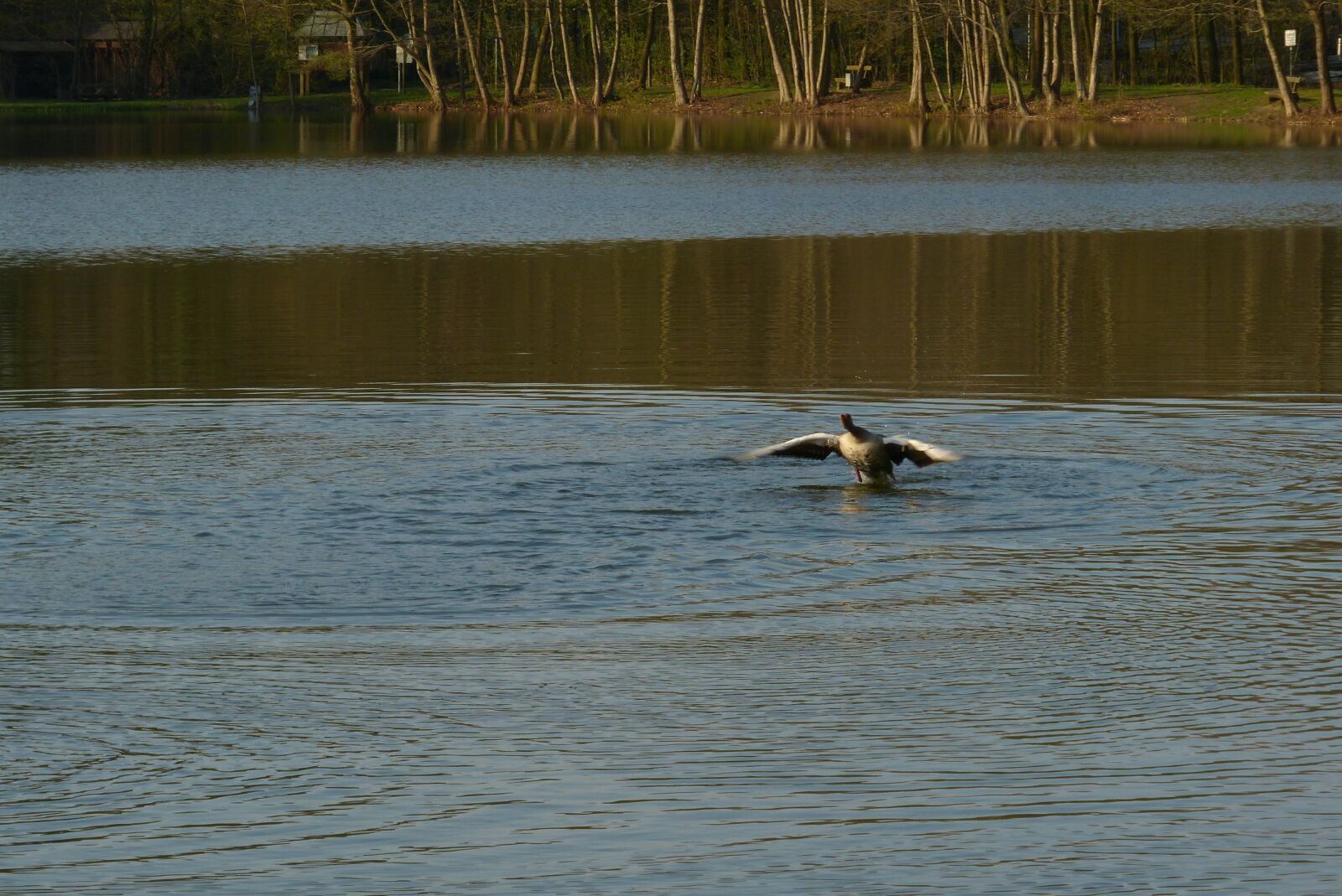 Panasonic Lumix DMC-FZ150 sample photo. Lake, fight, water photography
