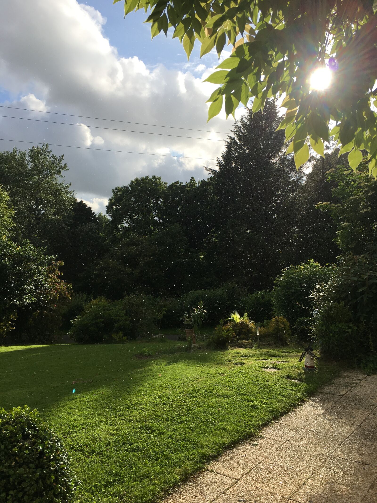 iPhone 6s Plus back camera 4.15mm f/2.2 sample photo. Sky, weed, landscape photography