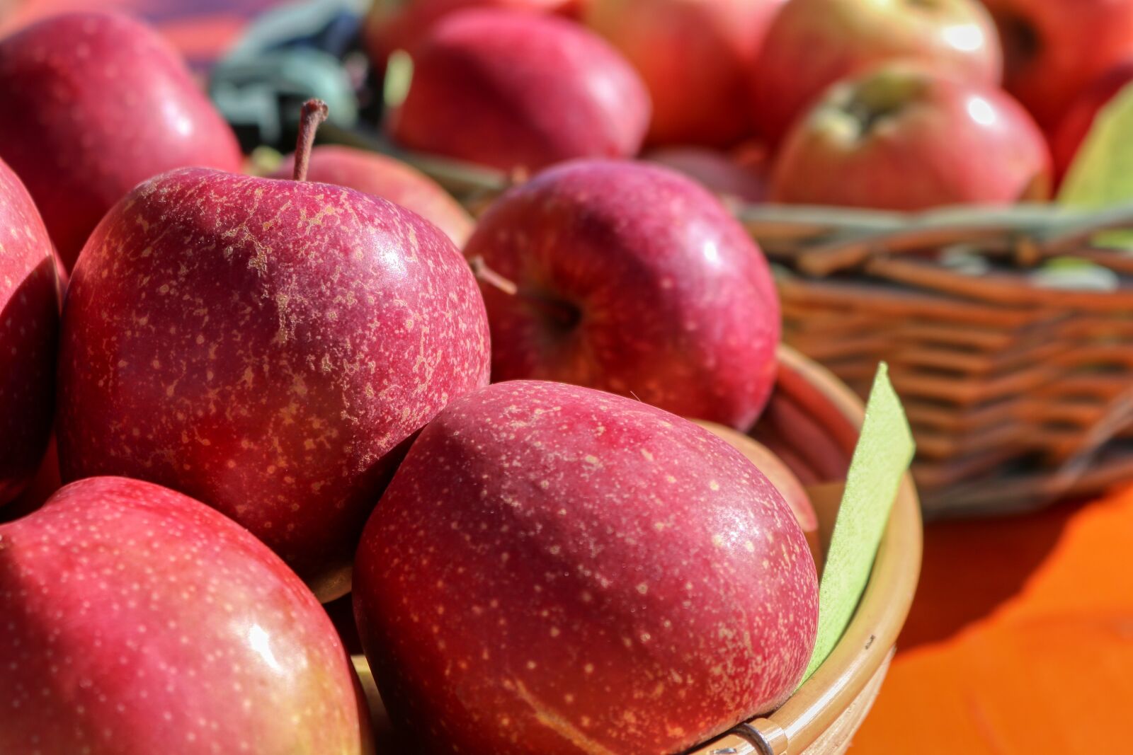 Canon EOS 80D sample photo. Apple, basket, fruit photography