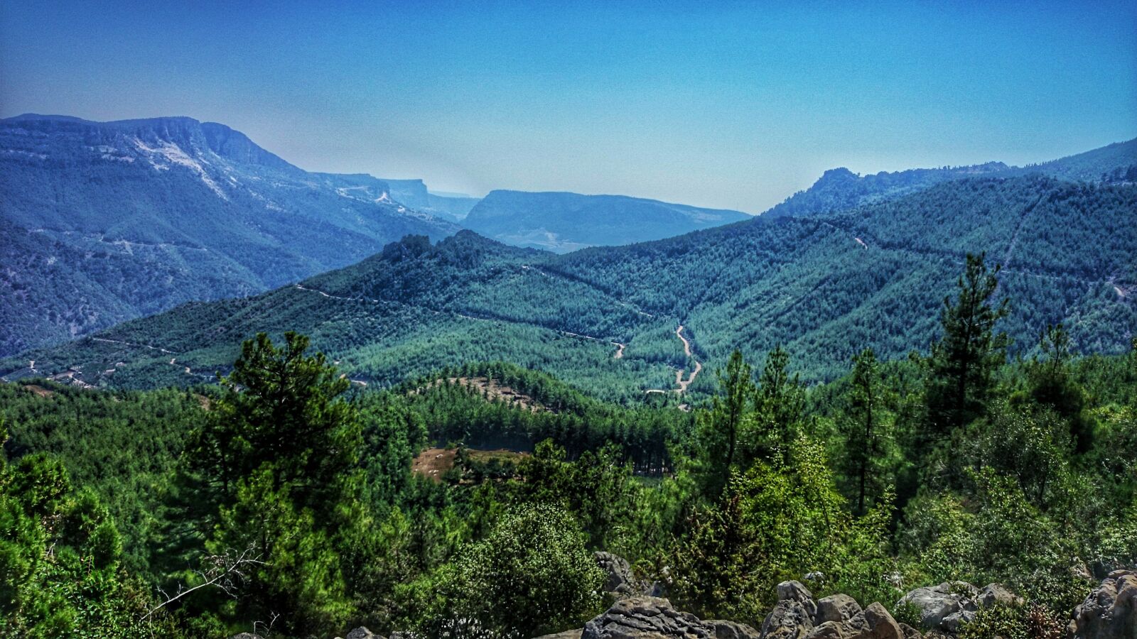 Sony Xperia Z1 sample photo. Nature, landscape, forest photography