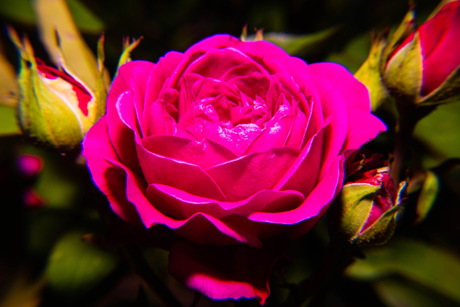 Nikon D850 sample photo. Spring, pollen, yellow photography
