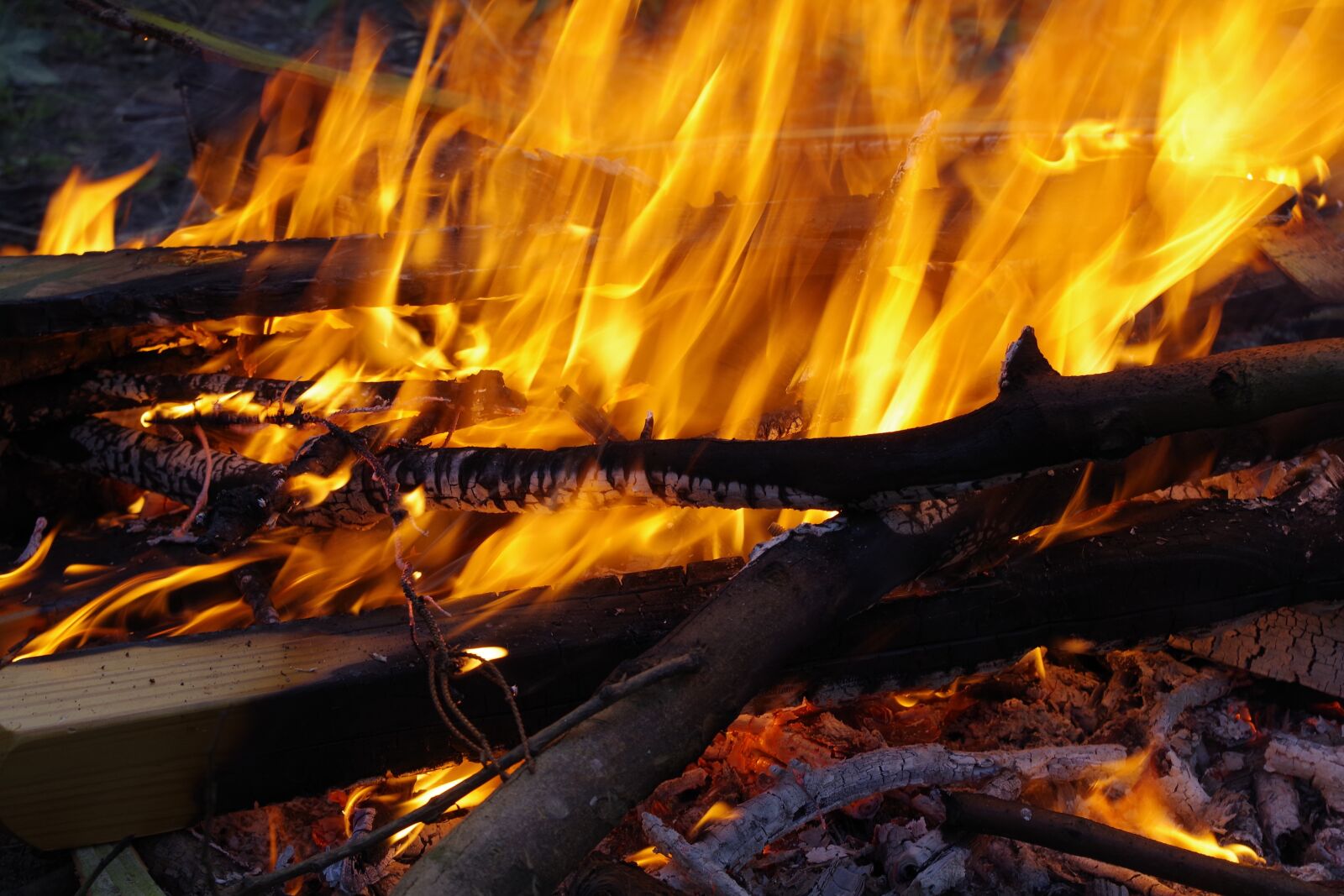 Pentax K-S1 sample photo. Fire, rubbish, flames photography