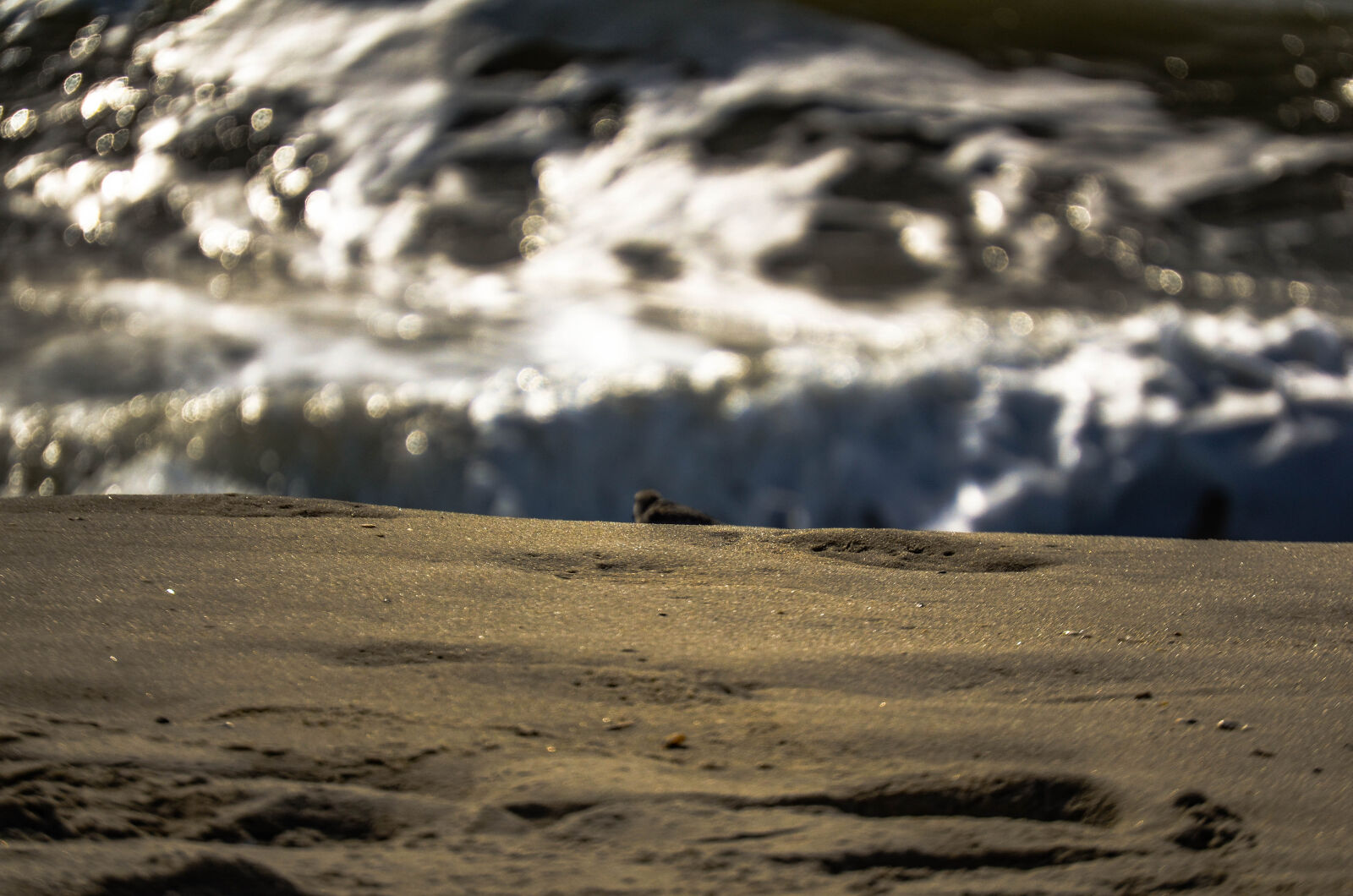 Nikon AF-S DX Nikkor 55-200mm F4-5.6G ED sample photo. Beach, ocean, shore, sand photography
