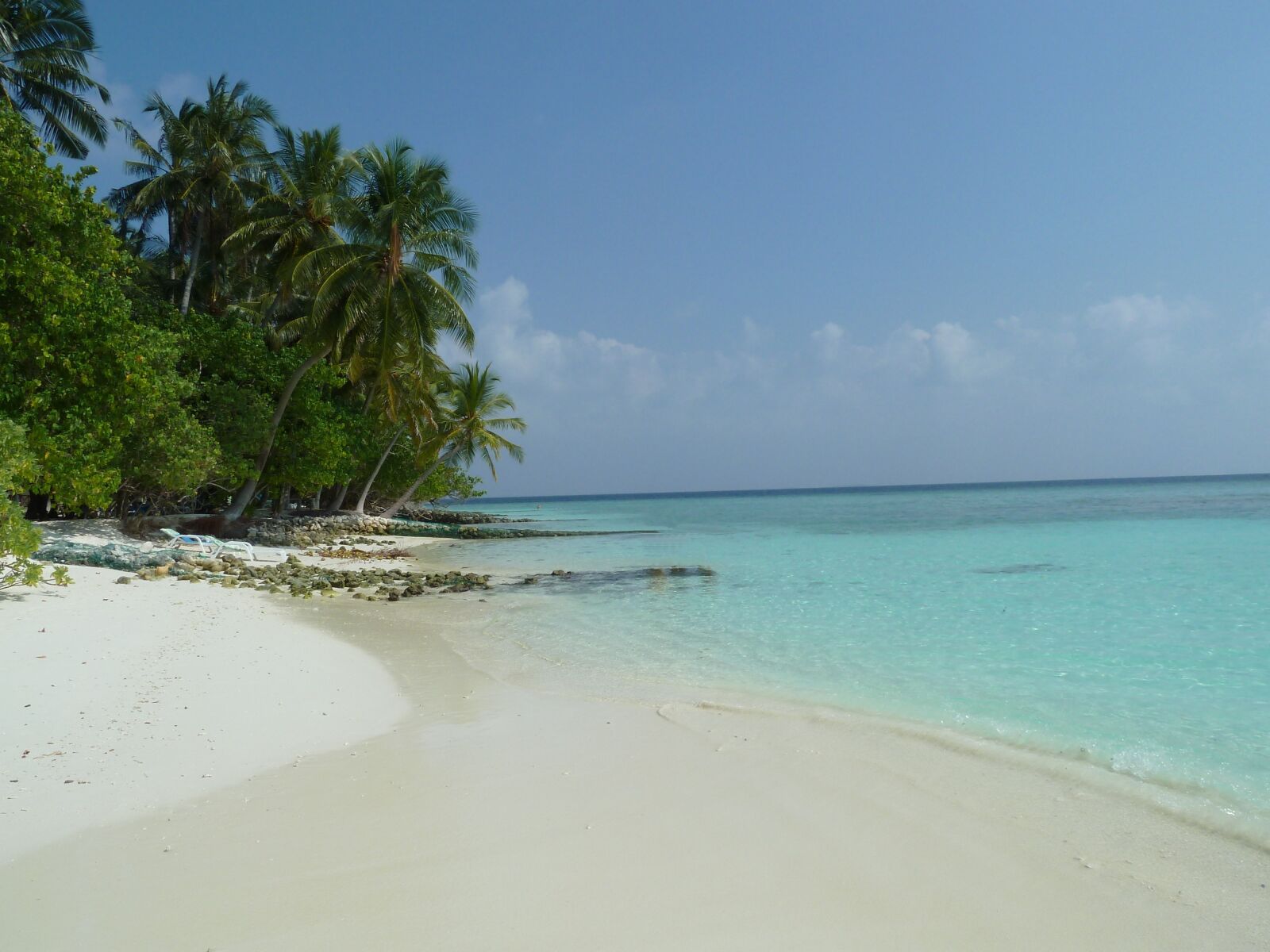 Panasonic Lumix DMC-ZS7 (Lumix DMC-TZ10) sample photo. Beach, palm trees, sea photography