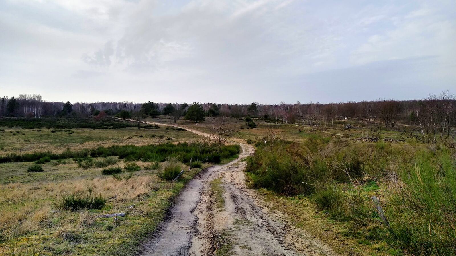Motorola moto g(7) power sample photo. Germany, brandenburg, havelland photography