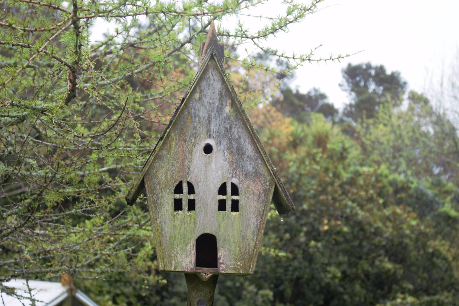 Canon EOS 700D (EOS Rebel T5i / EOS Kiss X7i) sample photo. Old, weathered, birdhouse photography