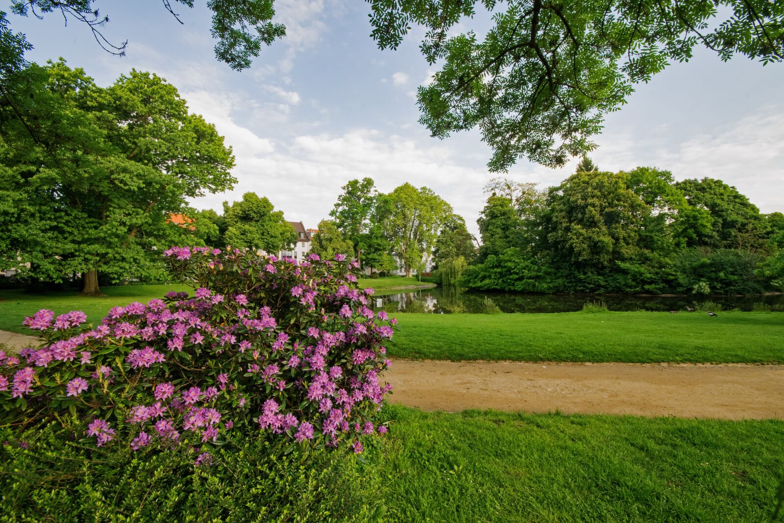 Nikon D5300 sample photo. Mr garden, darmstadt, hesse photography