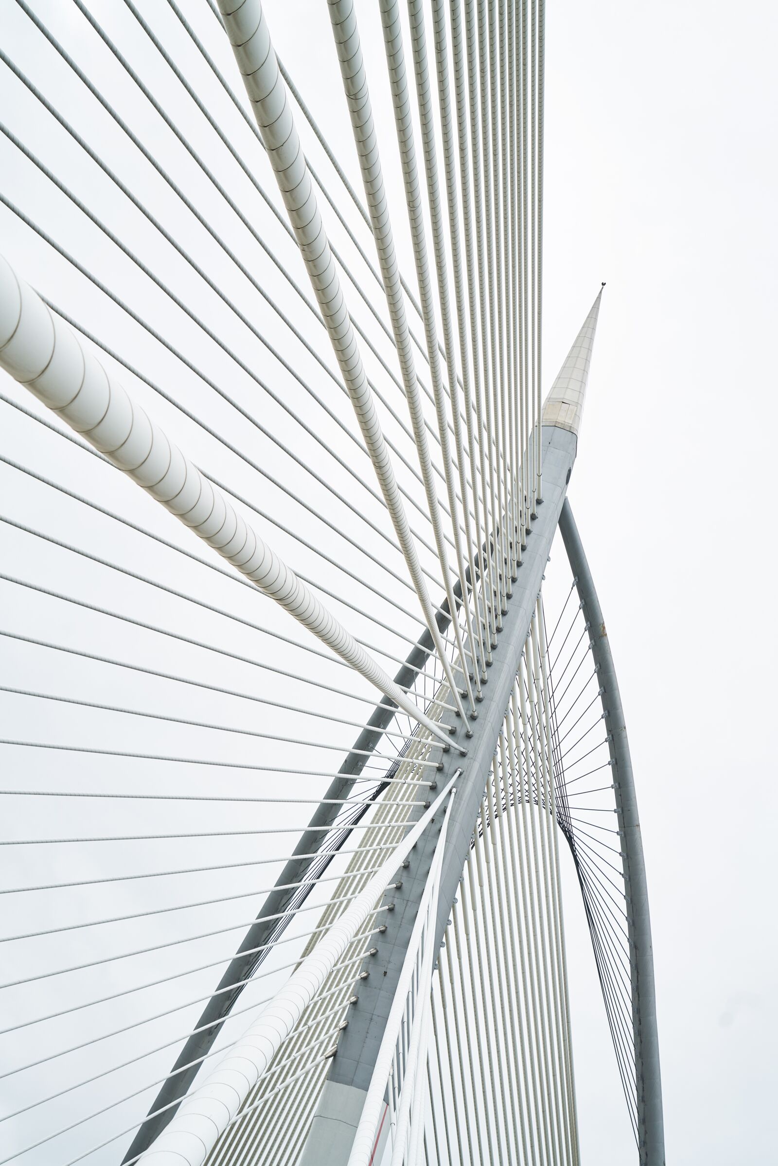 Sony a7R II sample photo. Rope, steel, bridge photography