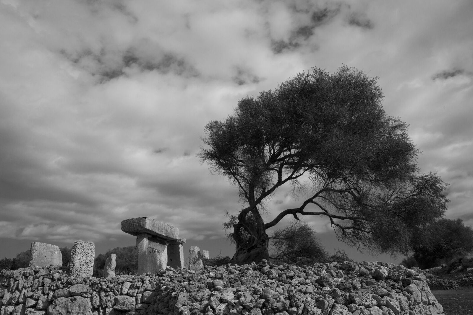 Canon EF 24-70mm F2.8L II USM sample photo. Taula, minorca, prehistory photography
