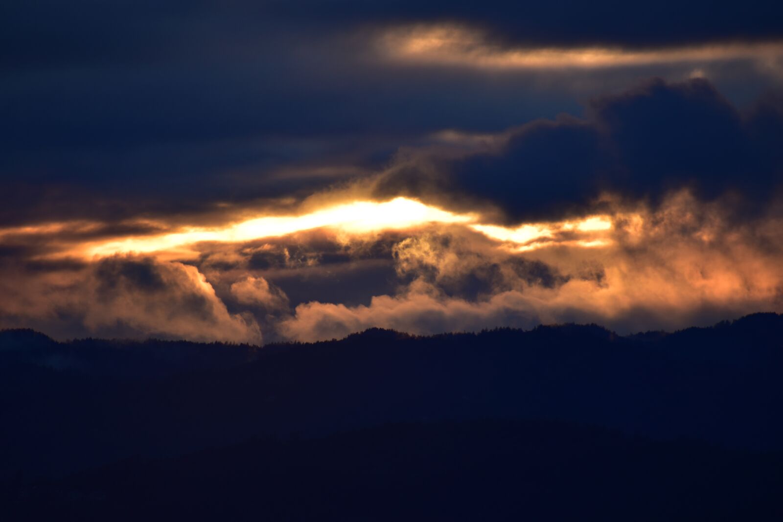 Nikon D5600 sample photo. West coast, british columbia photography