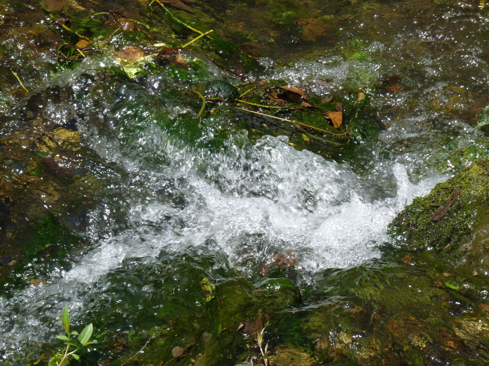 Panasonic Lumix DMC-FZ28 sample photo. River, water, nature photography