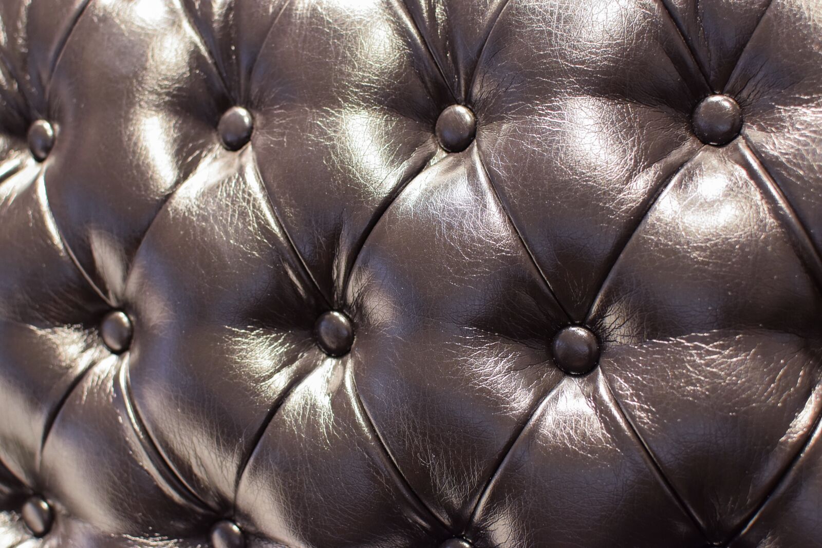 Nikon D5300 sample photo. Leather sofa, drape, model photography