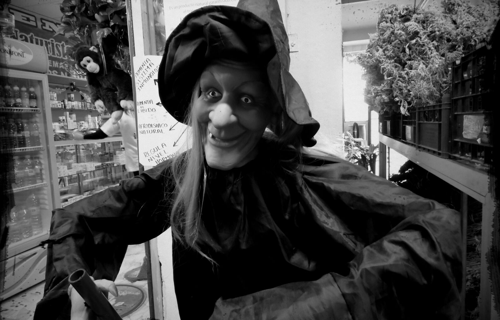 Samsung WB100/  WB101 sample photo. Bruja, dia, muertos, fotografia photography