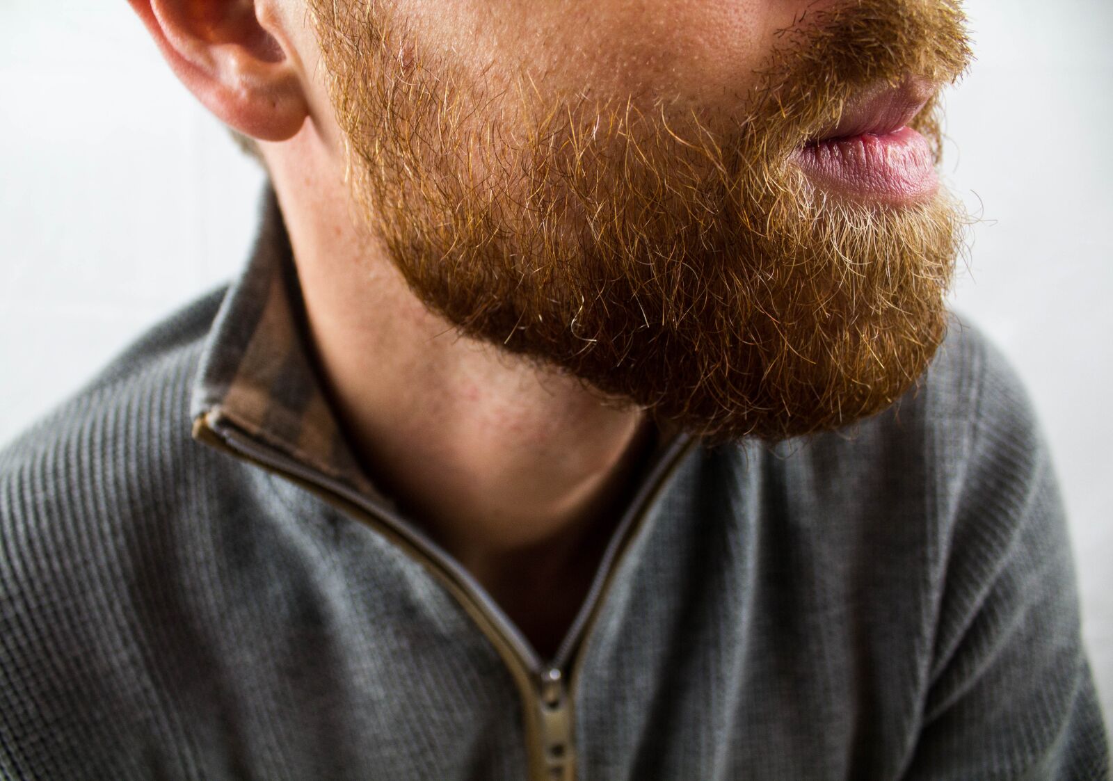 Canon EOS 600D (Rebel EOS T3i / EOS Kiss X5) sample photo. Bart, beard care, mouth photography