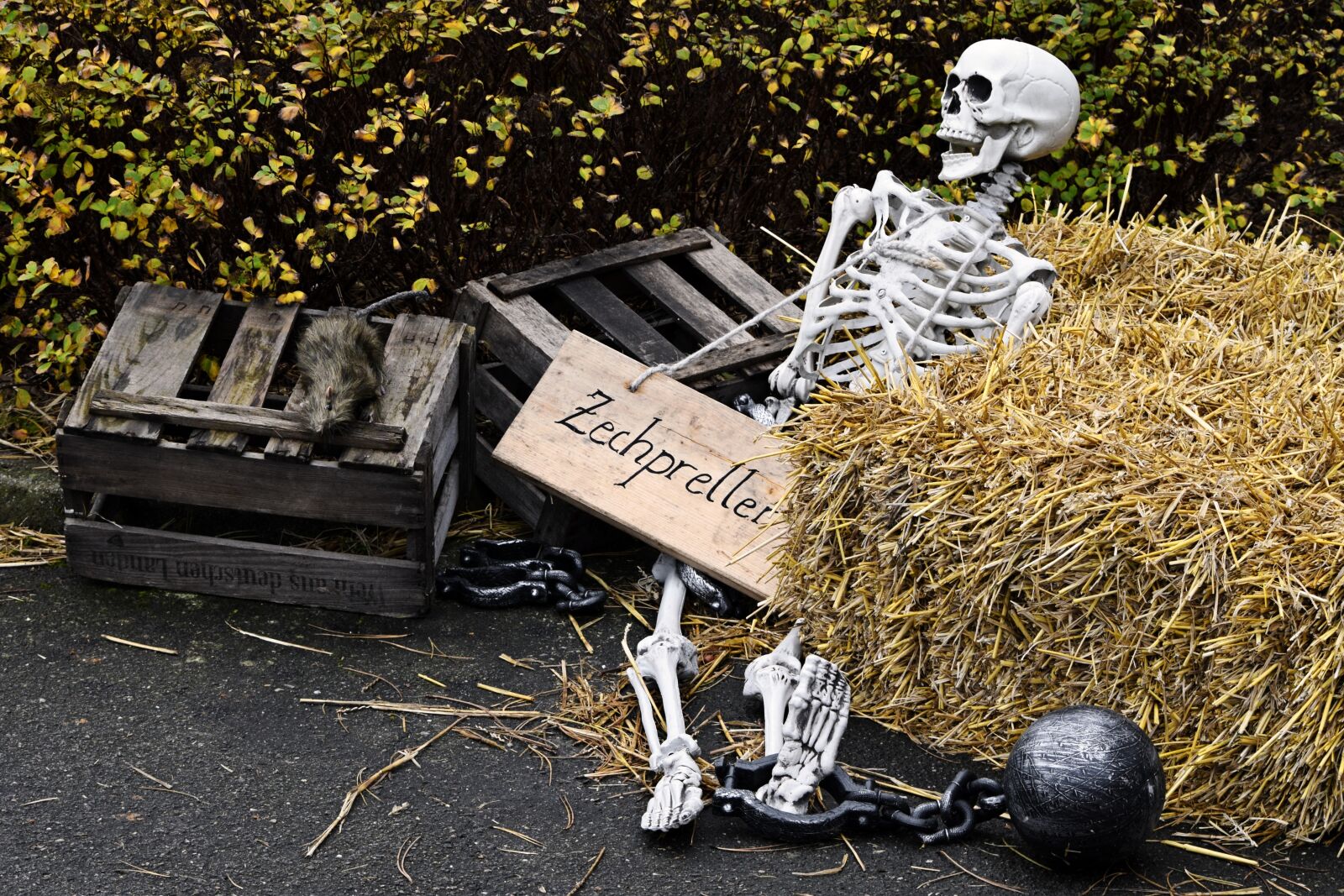 Nikon D3300 sample photo. Skeleton, hay bales, trouble photography