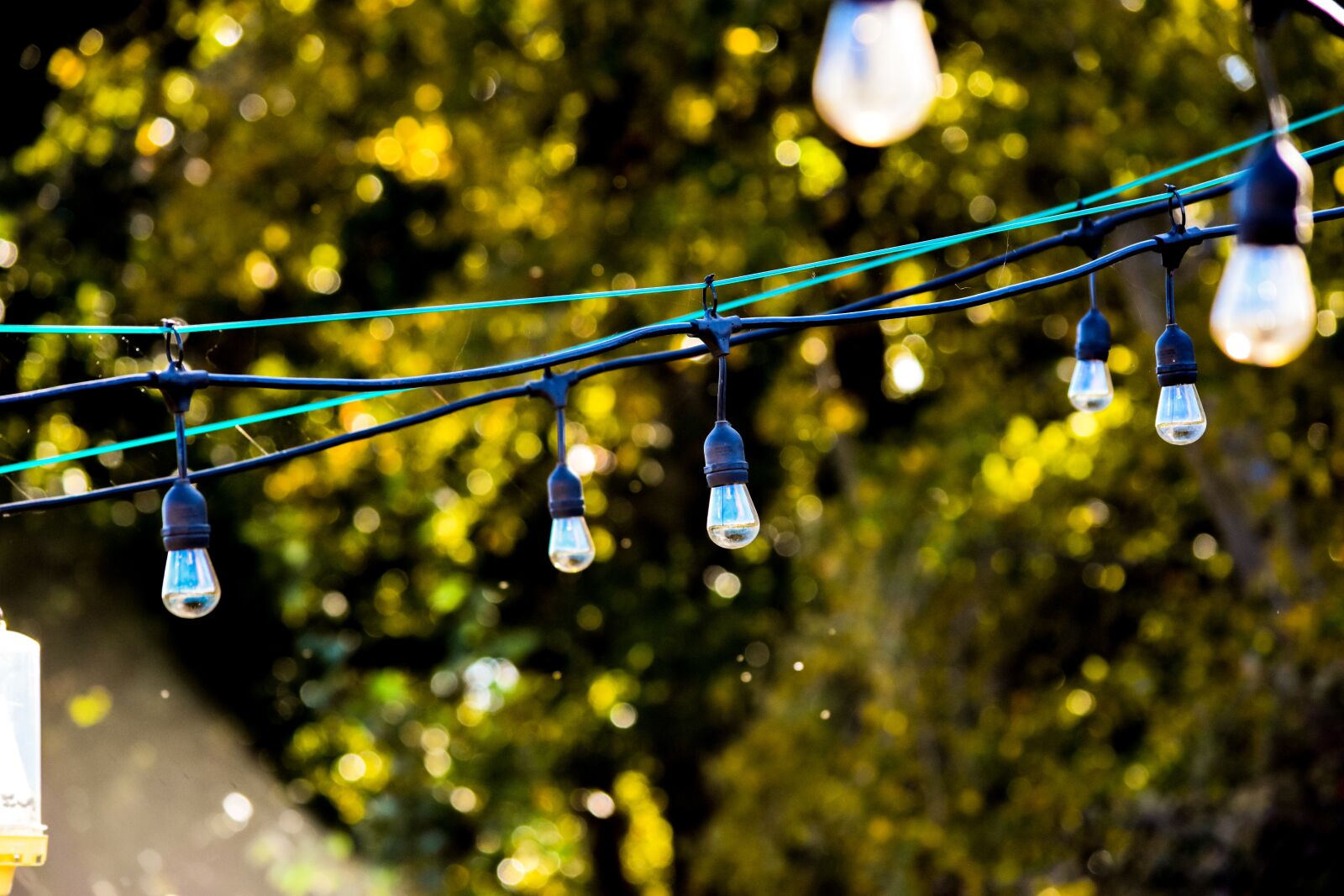 Nikon D7200 sample photo. Lights, green, light photography