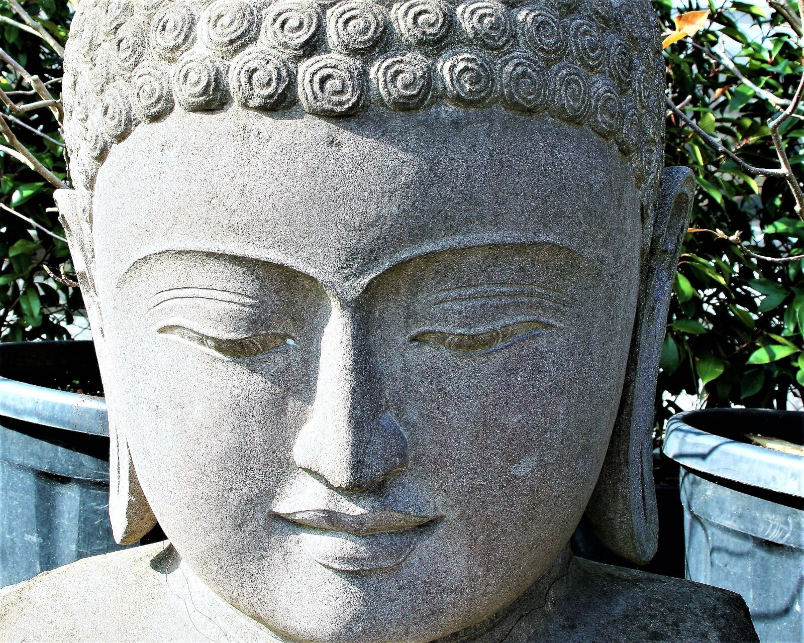 Canon EOS 400D (EOS Digital Rebel XTi / EOS Kiss Digital X) sample photo. Zen, meditation, buddha photography