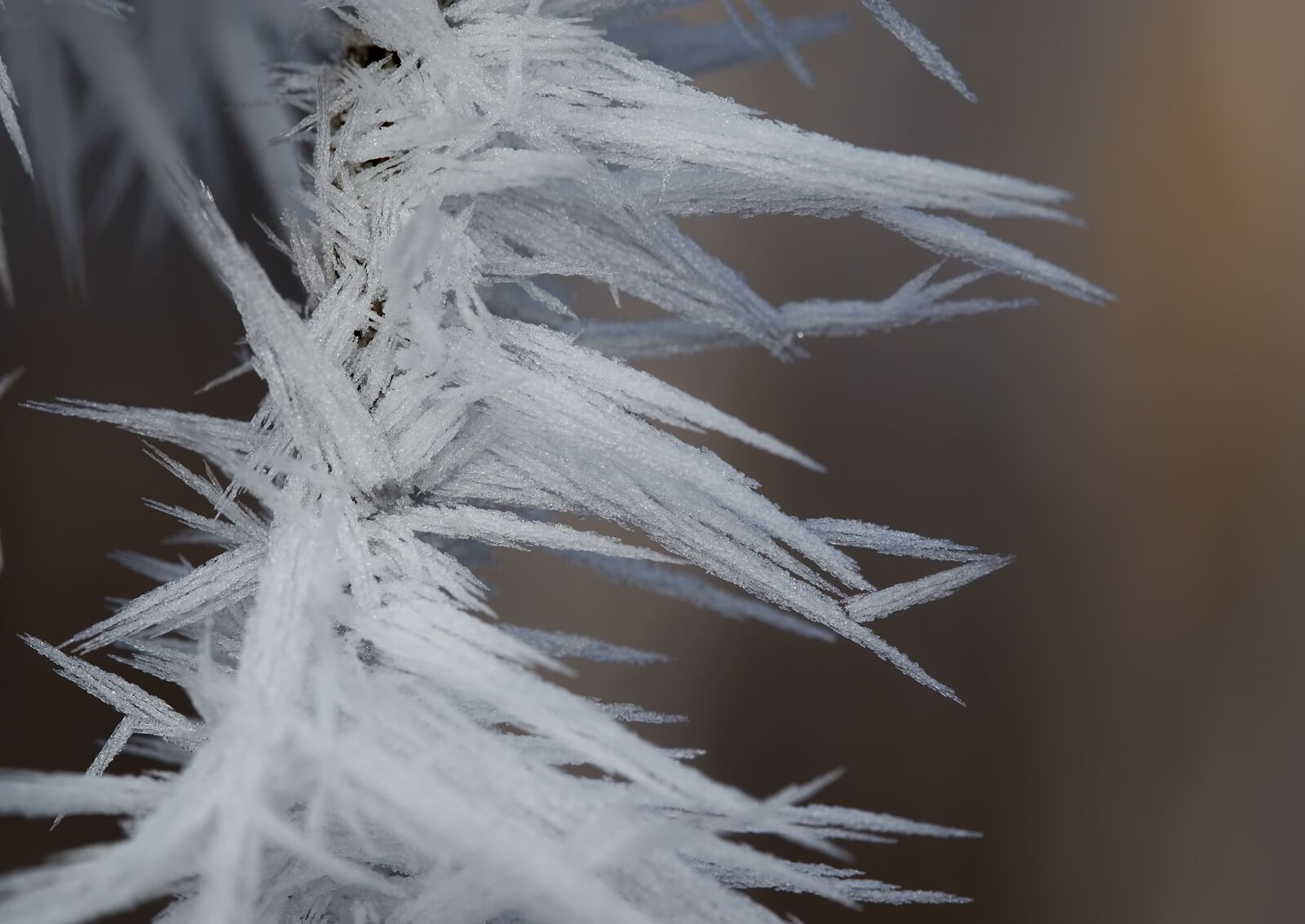 Nikon D5500 sample photo. Ice, eiskristalle, winter photography