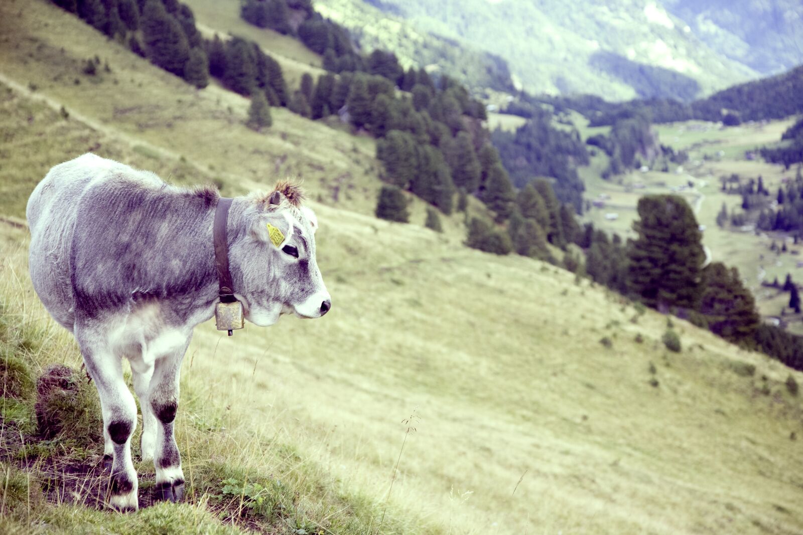 Canon EOS 5D sample photo. Mountain, mountains, alpine photography