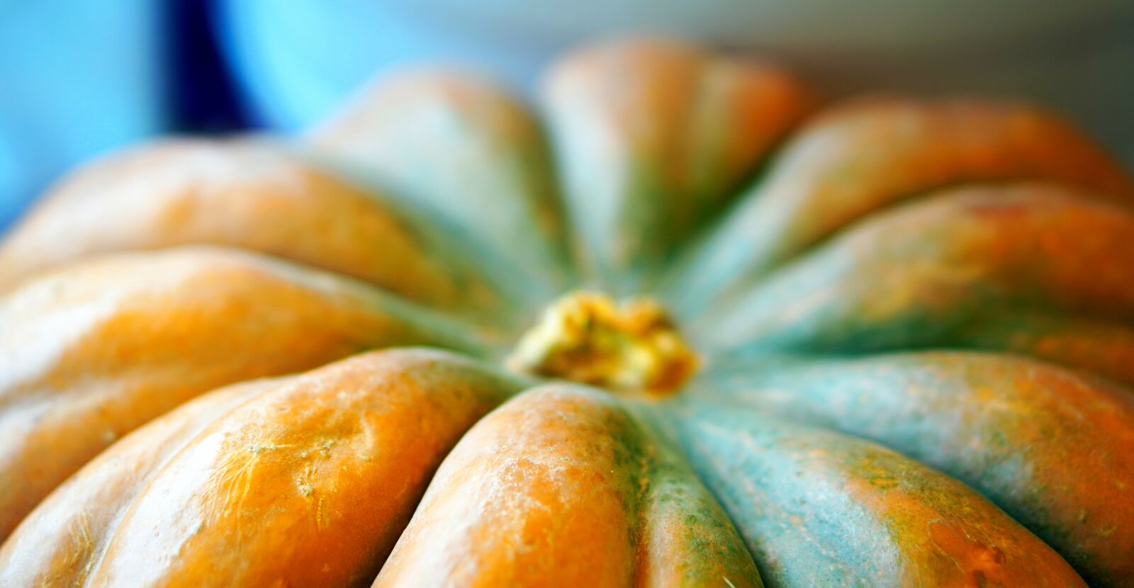 Sony a6400 + E 50mm F1.8 OSS sample photo. Pumpkin, vegetables, autumn photography
