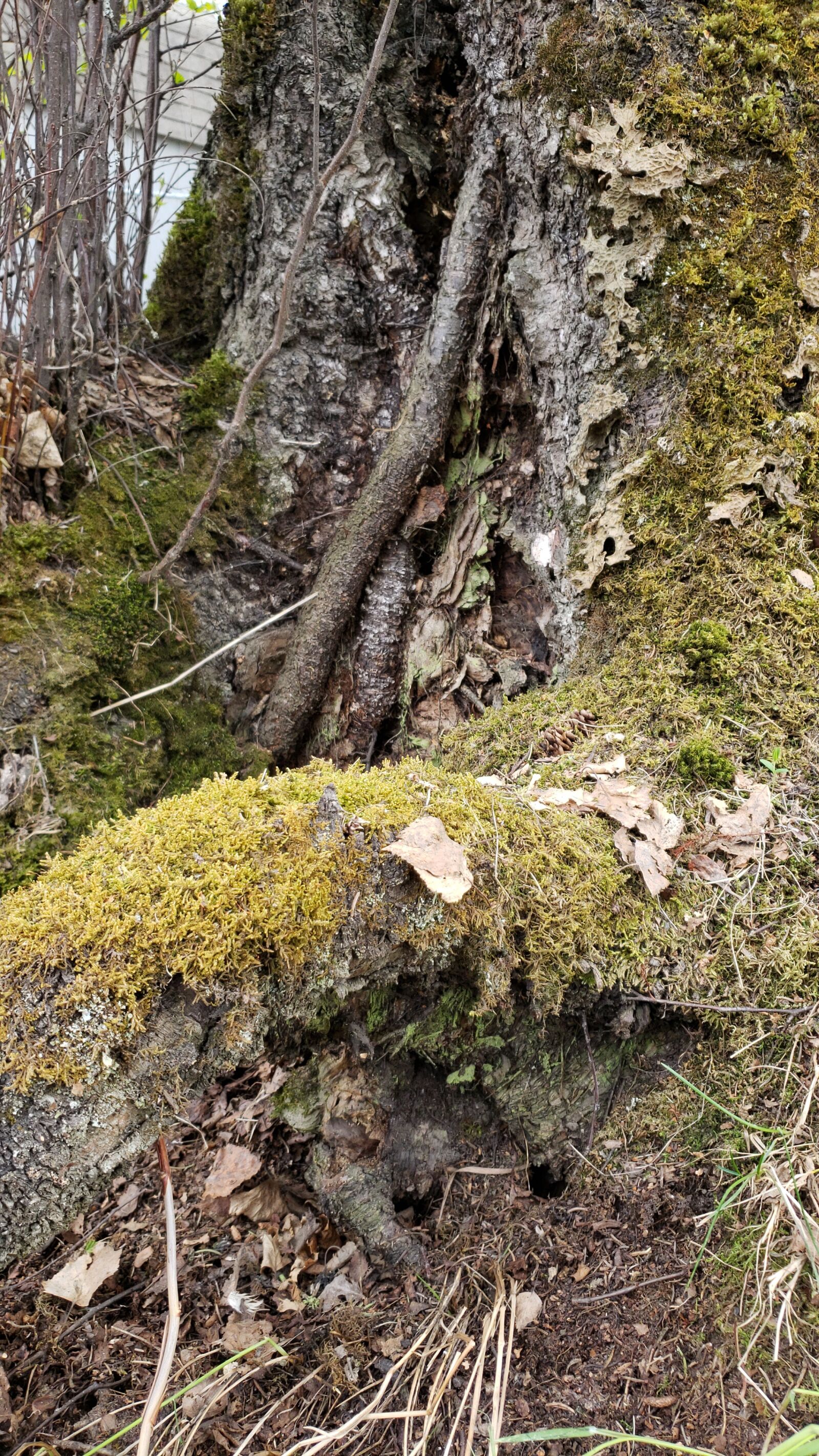 Samsung Galaxy S9 sample photo