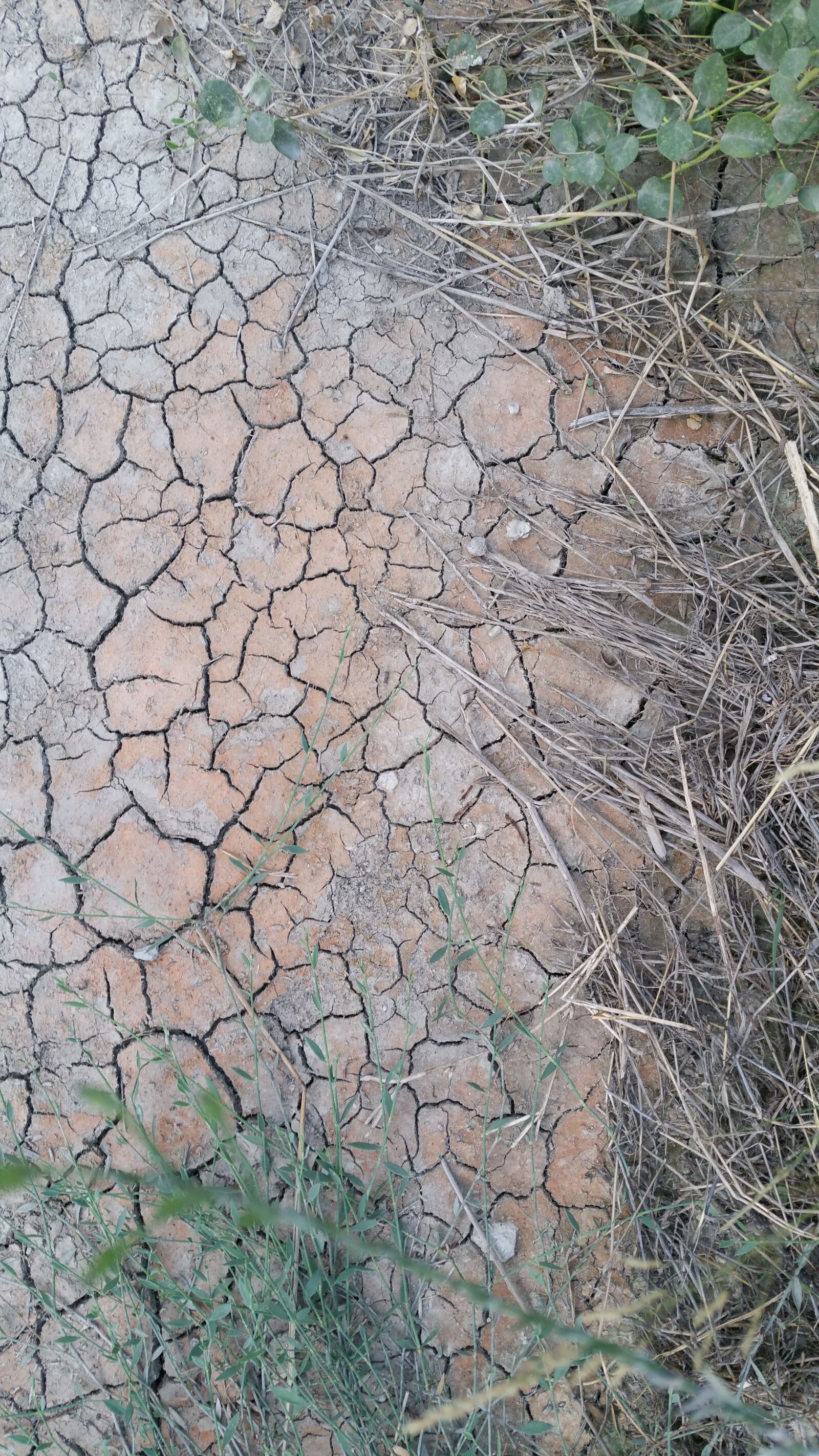 Samsung Galaxy S5 LTE-A sample photo. Ground, dryness, drought photography