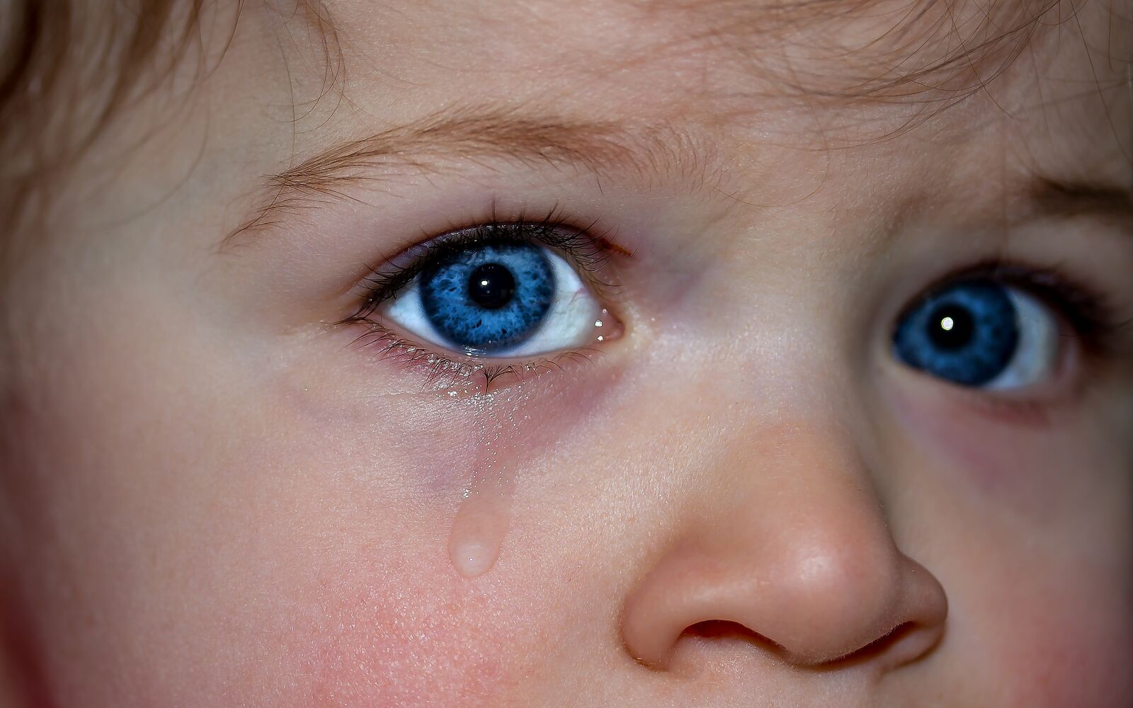 Canon EOS 650D (EOS Rebel T4i / EOS Kiss X6i) sample photo. Children's eyes, eyes, blue photography