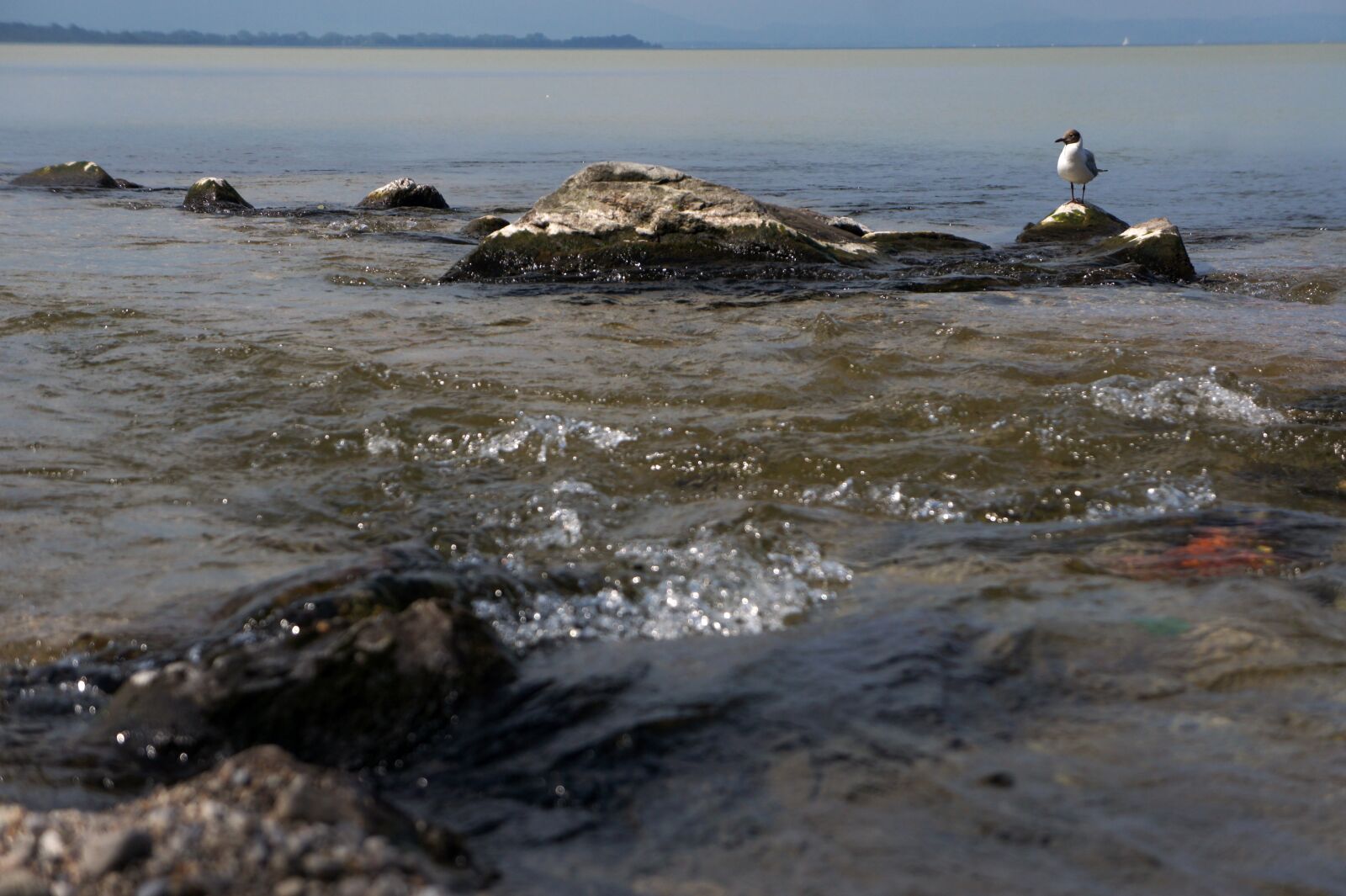 Sony Alpha NEX-5 sample photo. Chiemsee, chieming, bavaria photography