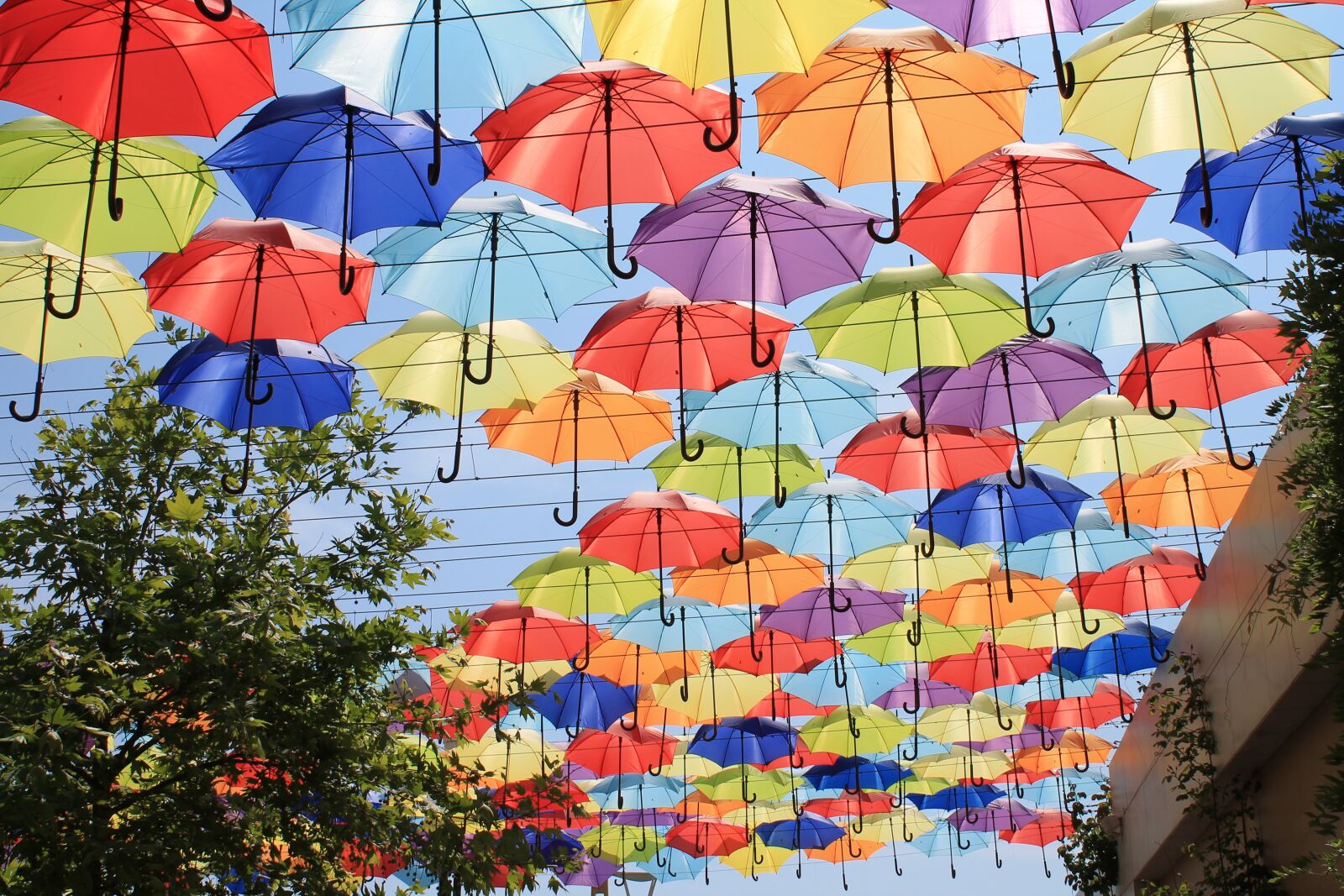 Canon EOS 1100D (EOS Rebel T3 / EOS Kiss X50) sample photo. Umbrellas, alley, sun photography