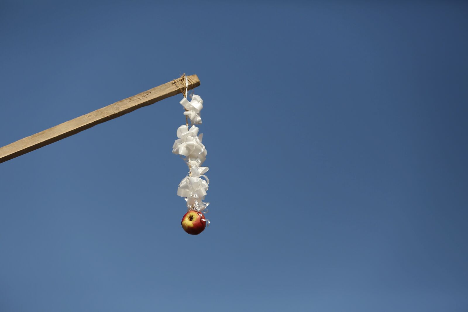 Canon EOS 5D Mark III sample photo. Apple, stick, hanging, event photography