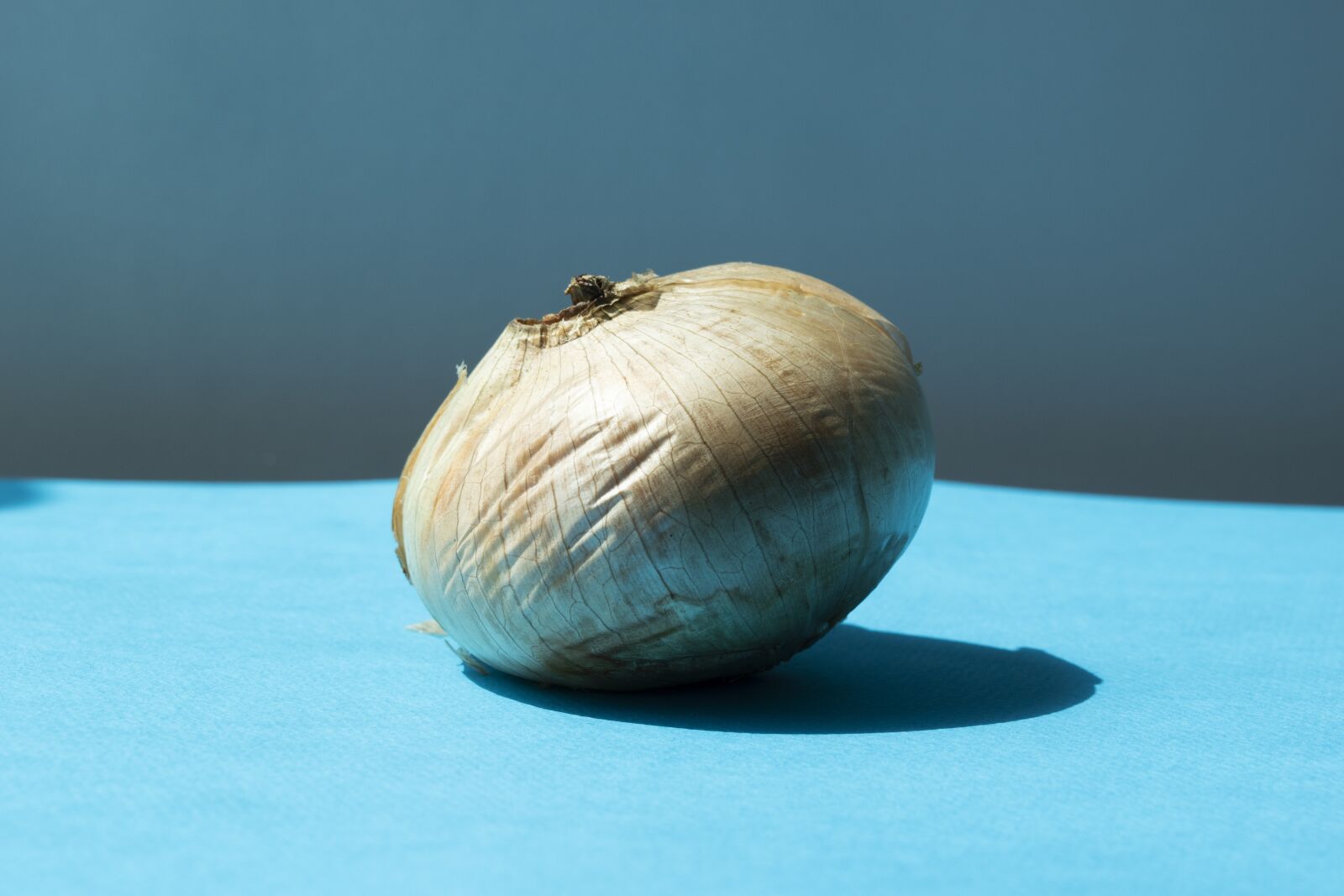 Nikon D5500 sample photo. Onion, vegetables, vegetable photography